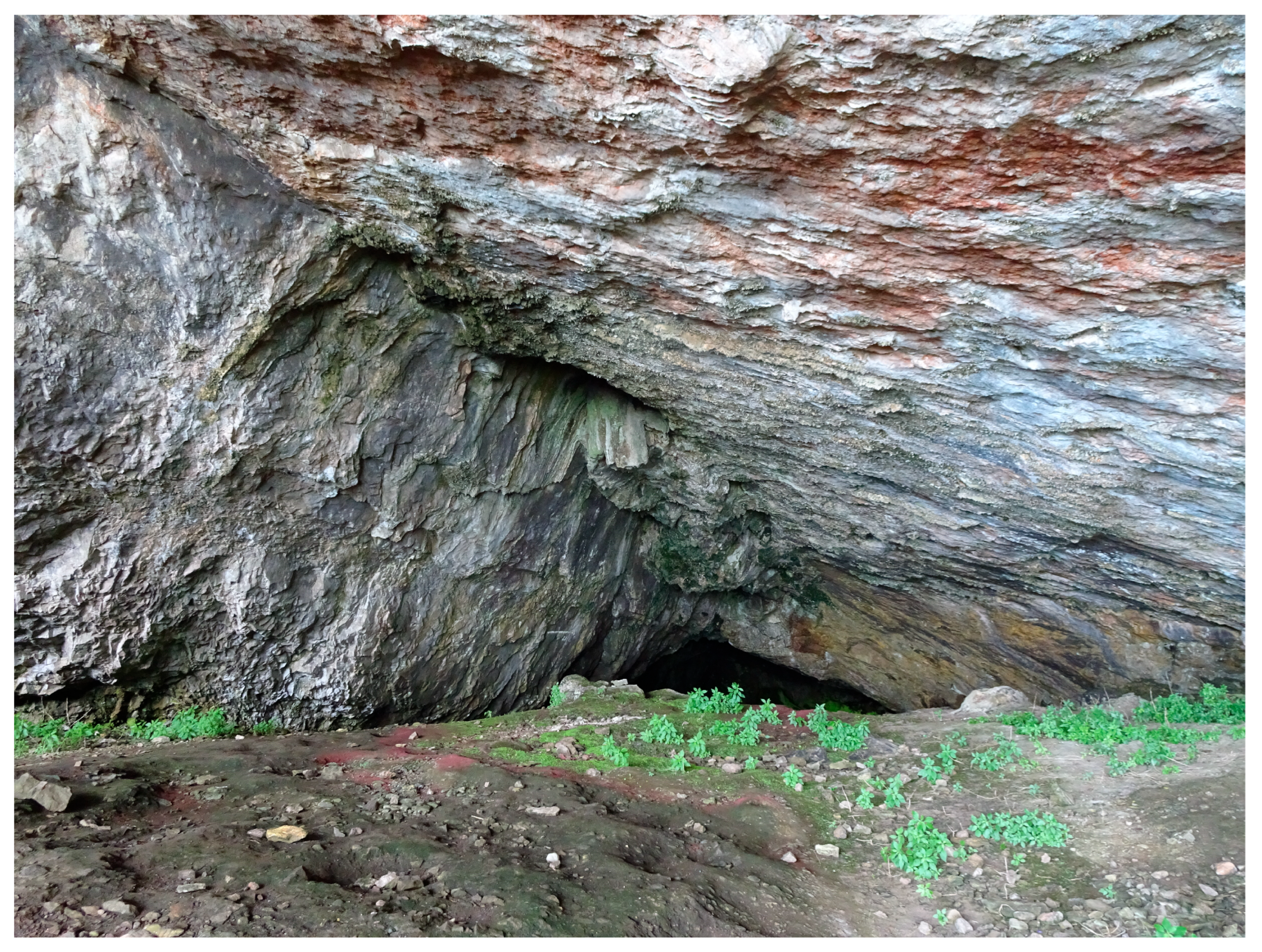 Quaternary 09 00043 g003