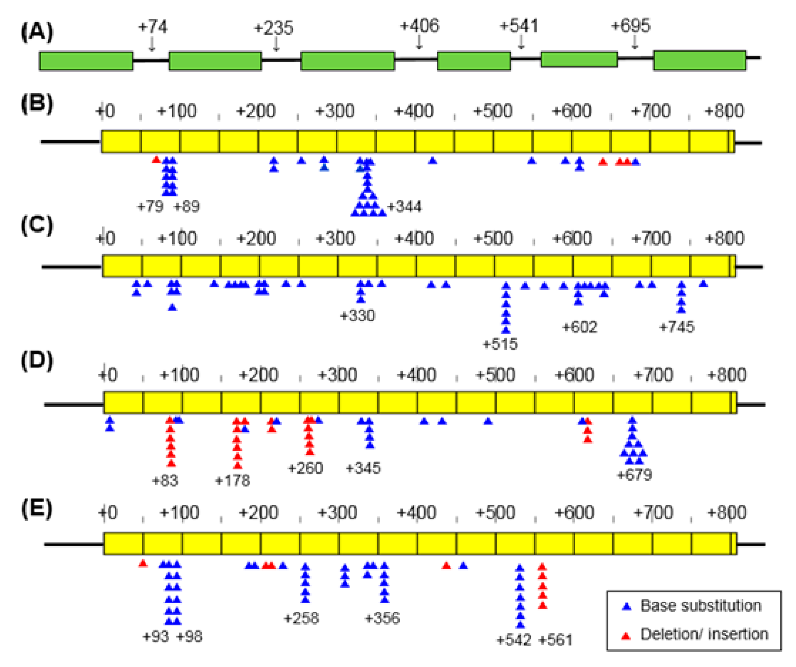 Qubs 03 00014 g003