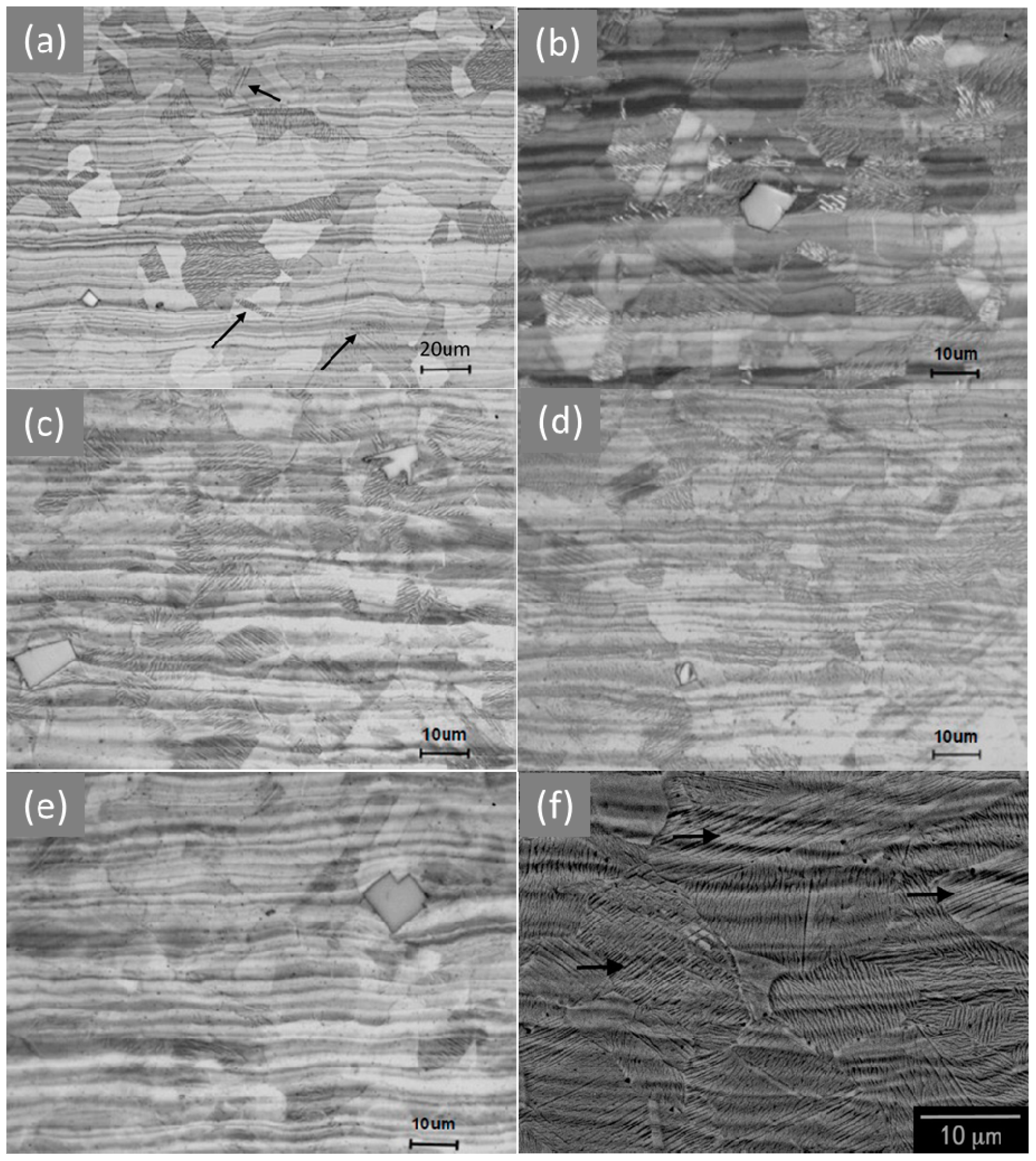 Qubs 03 00015 g003