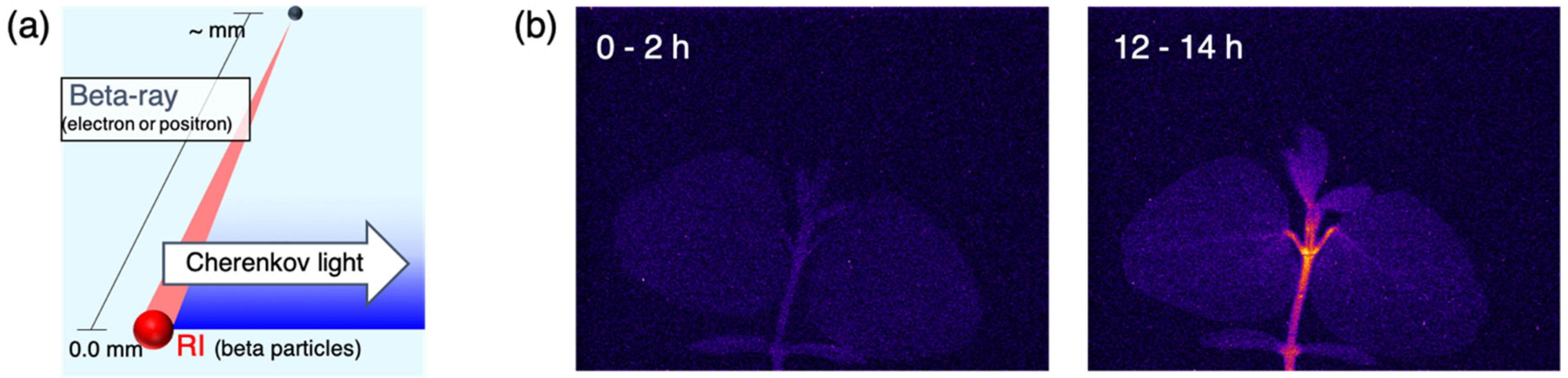 Qubs 03 00018 g007