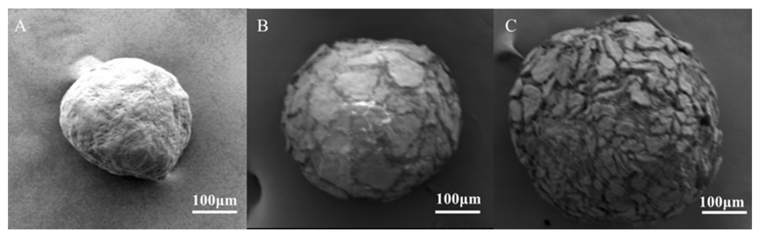 Qubs 04 00006 g002 Qubs 04 00006 g002