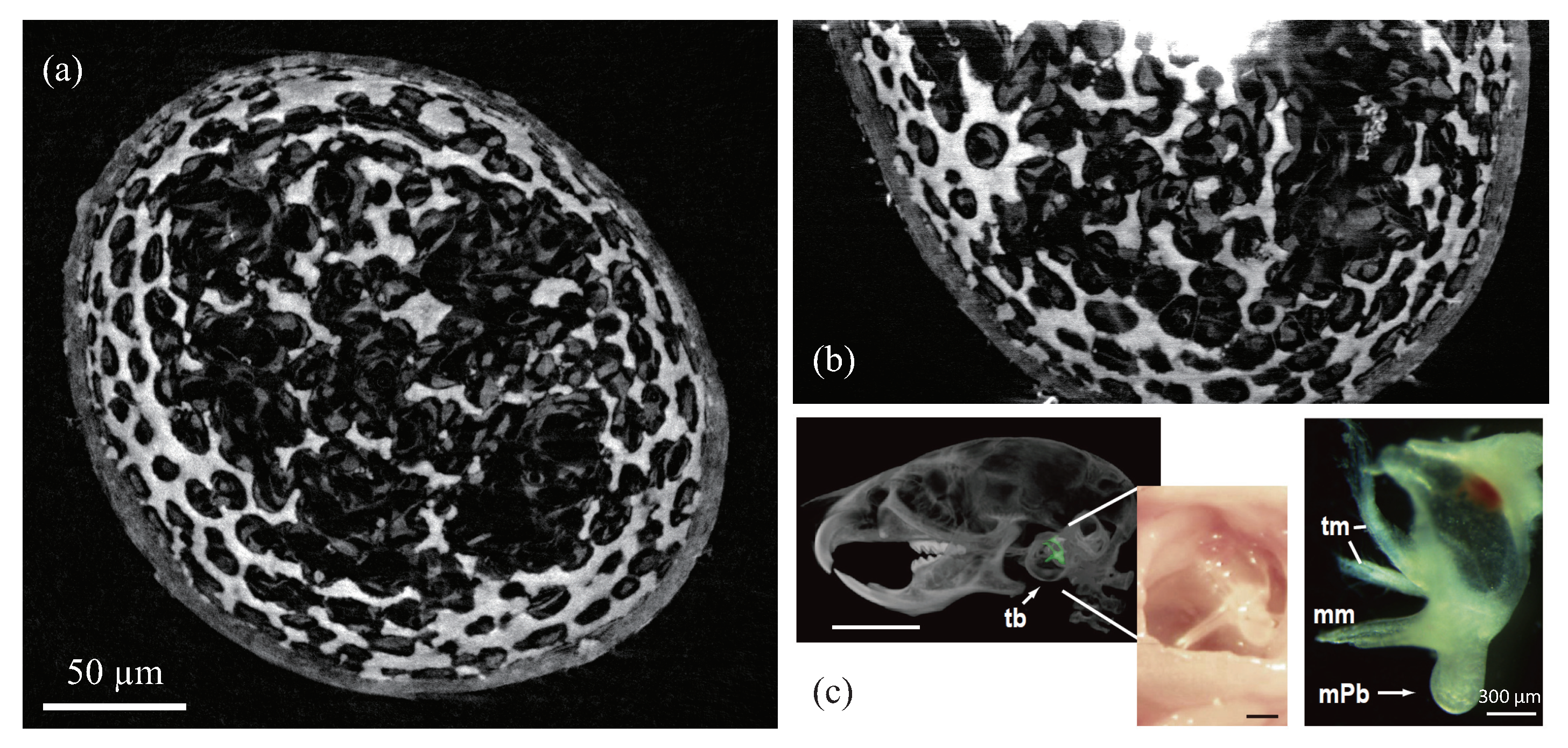 Qubs 04 00009 g009 Qubs 04 00009 g009