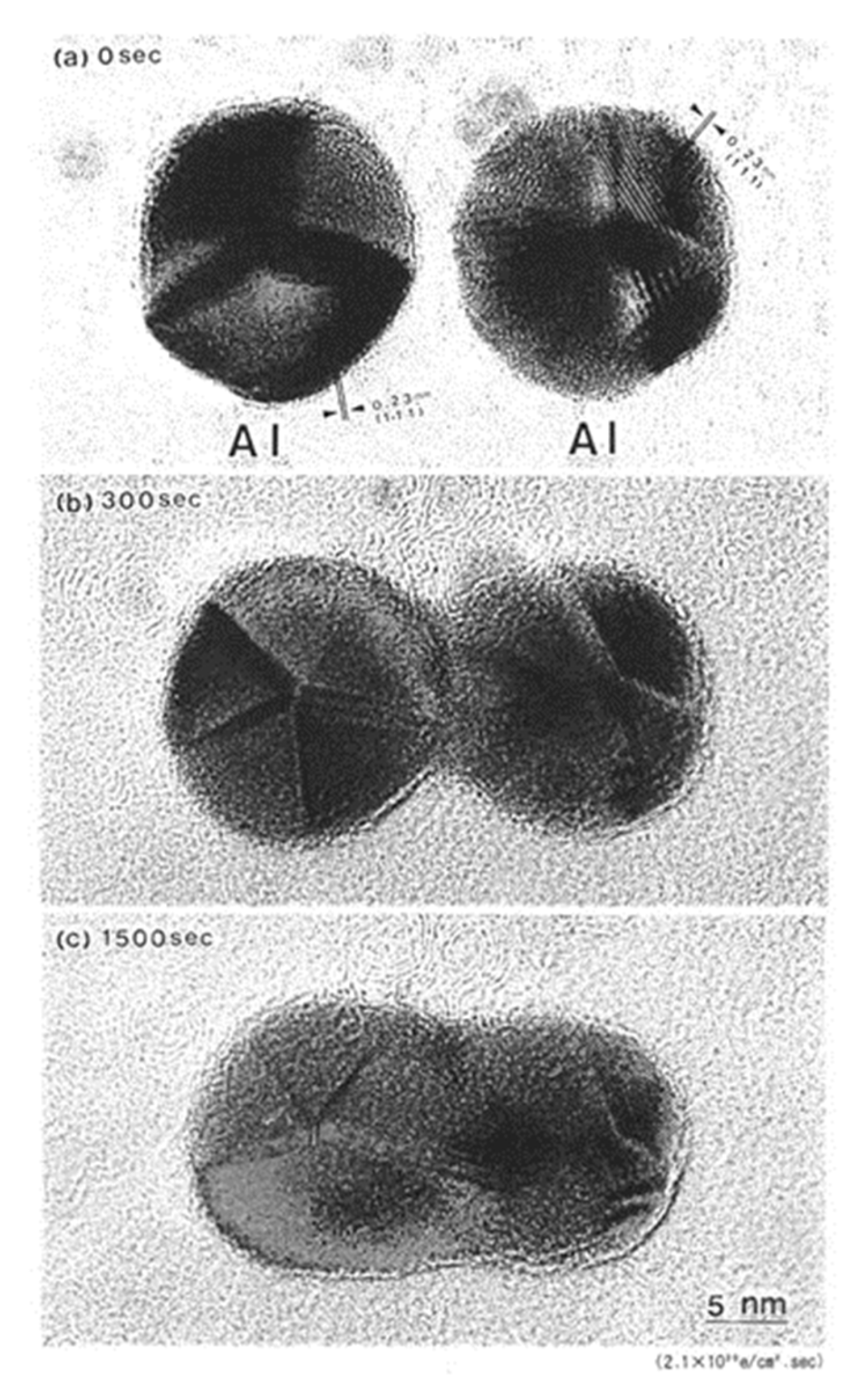 Qubs 05 00023 g006 550