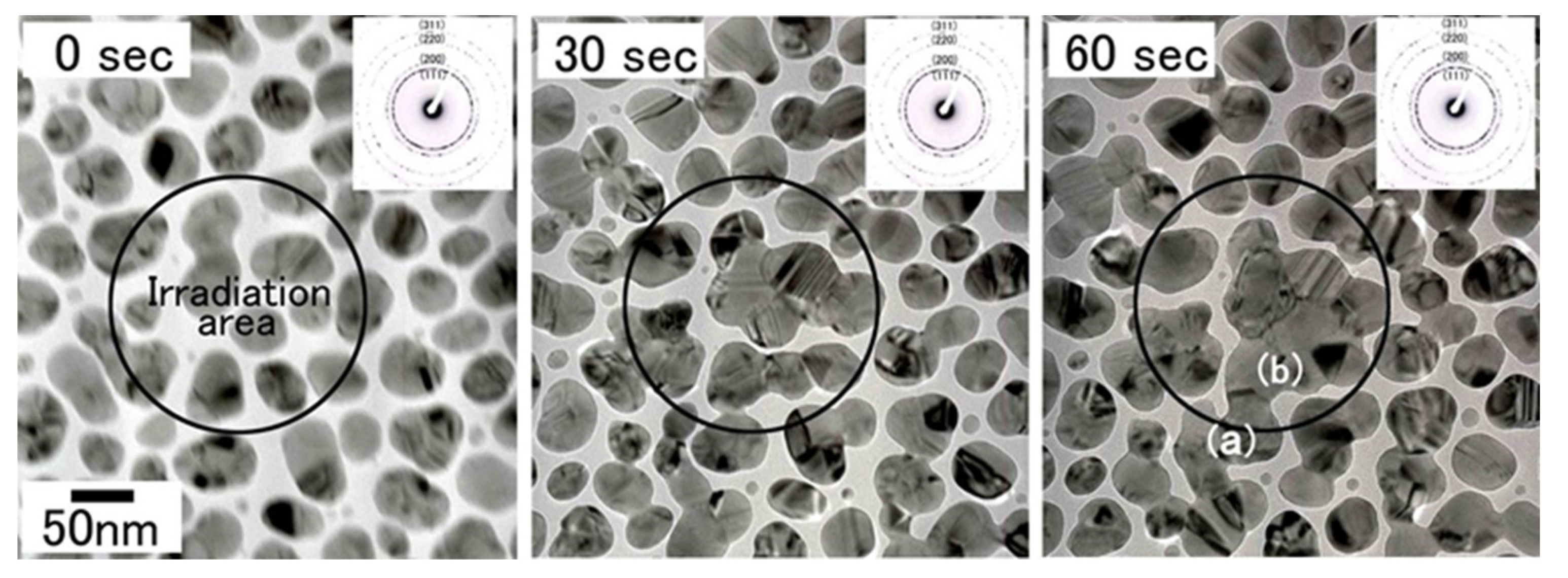 Qubs 05 00023 g026 550