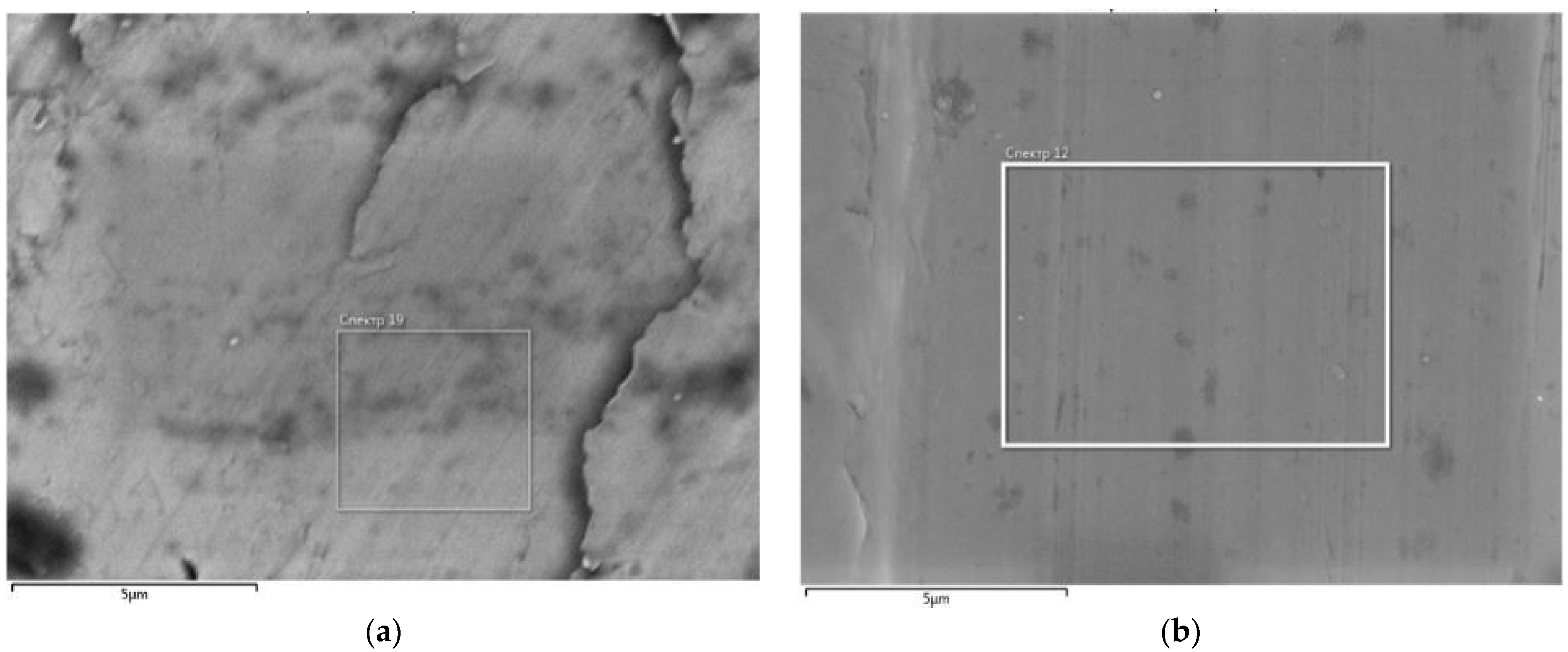 Qubs 06 00009 g002 550