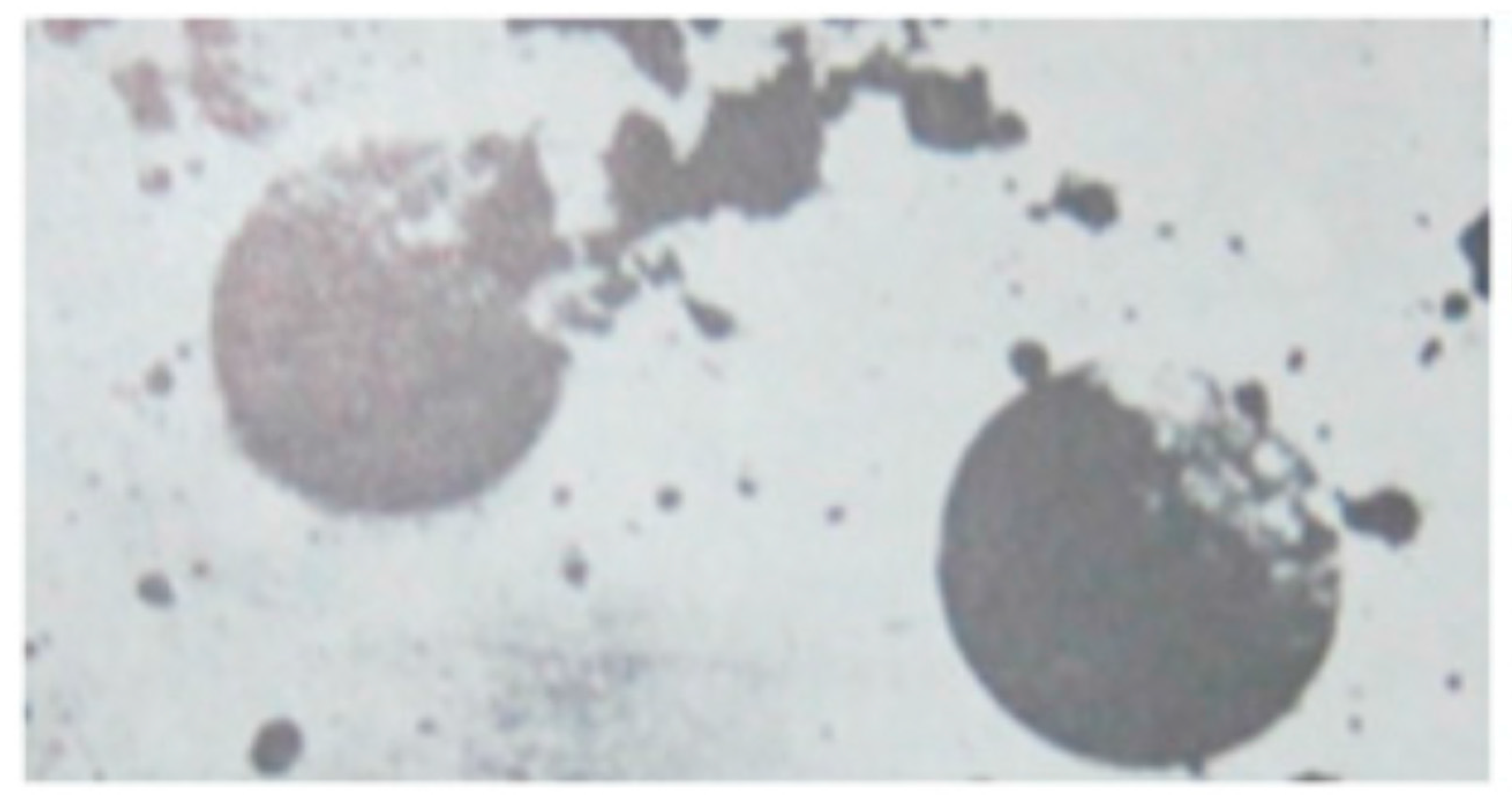 Qubs 06 00016 g003 550