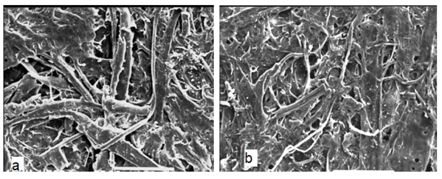 Qubs 06 00023 g006 550