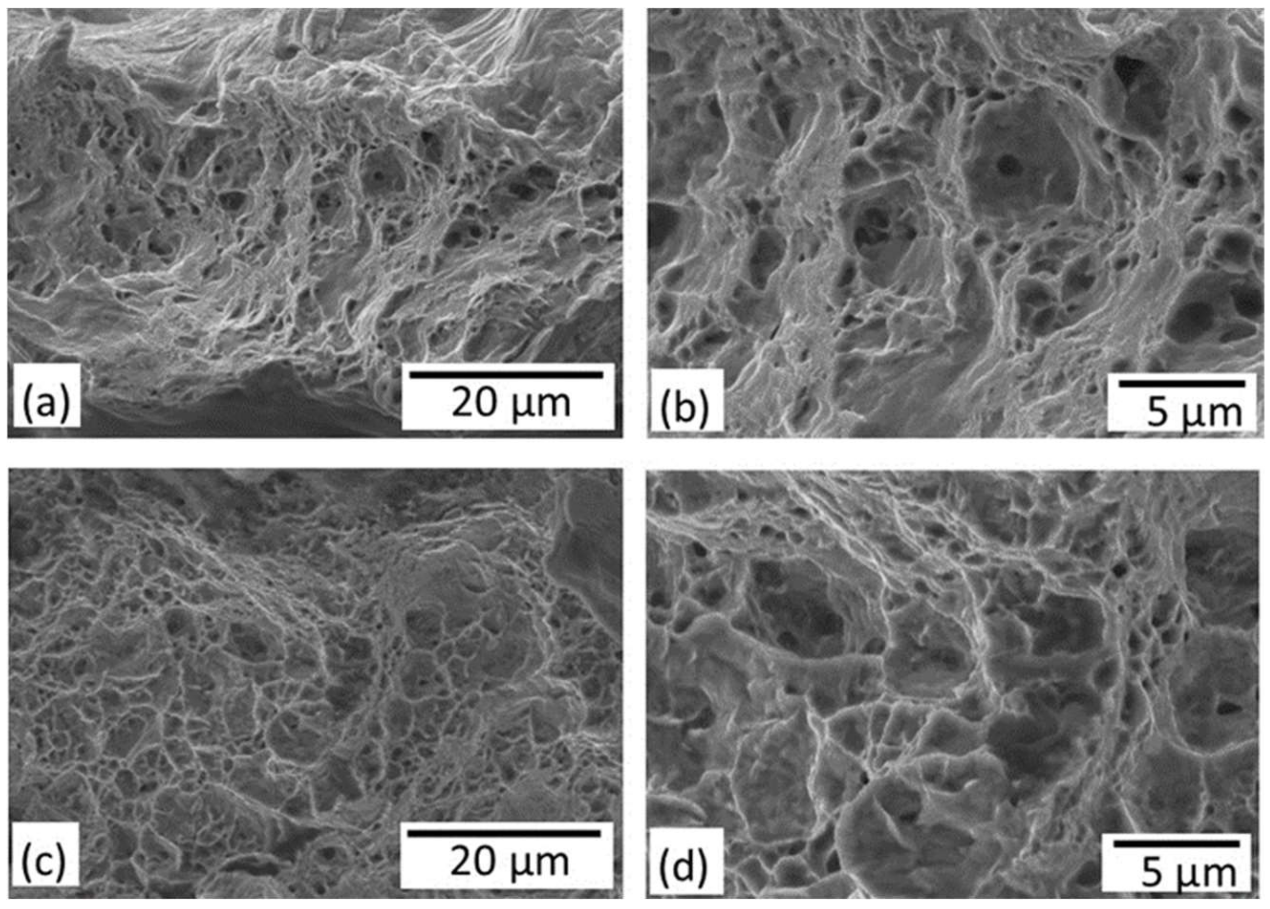 Qubs 06 00024 g012 550