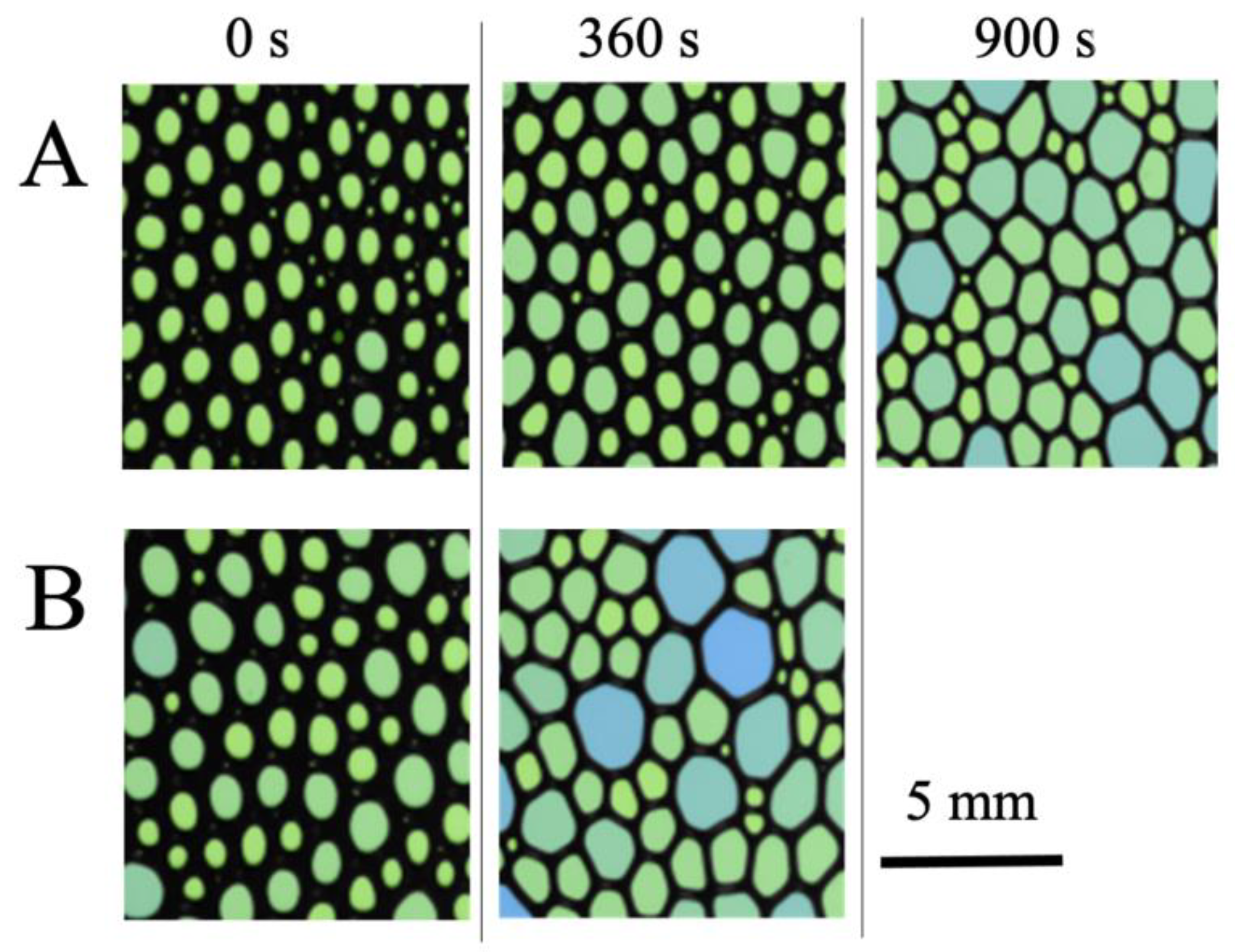 Qubs 07 00004 g007 Qubs 07 00004 g007