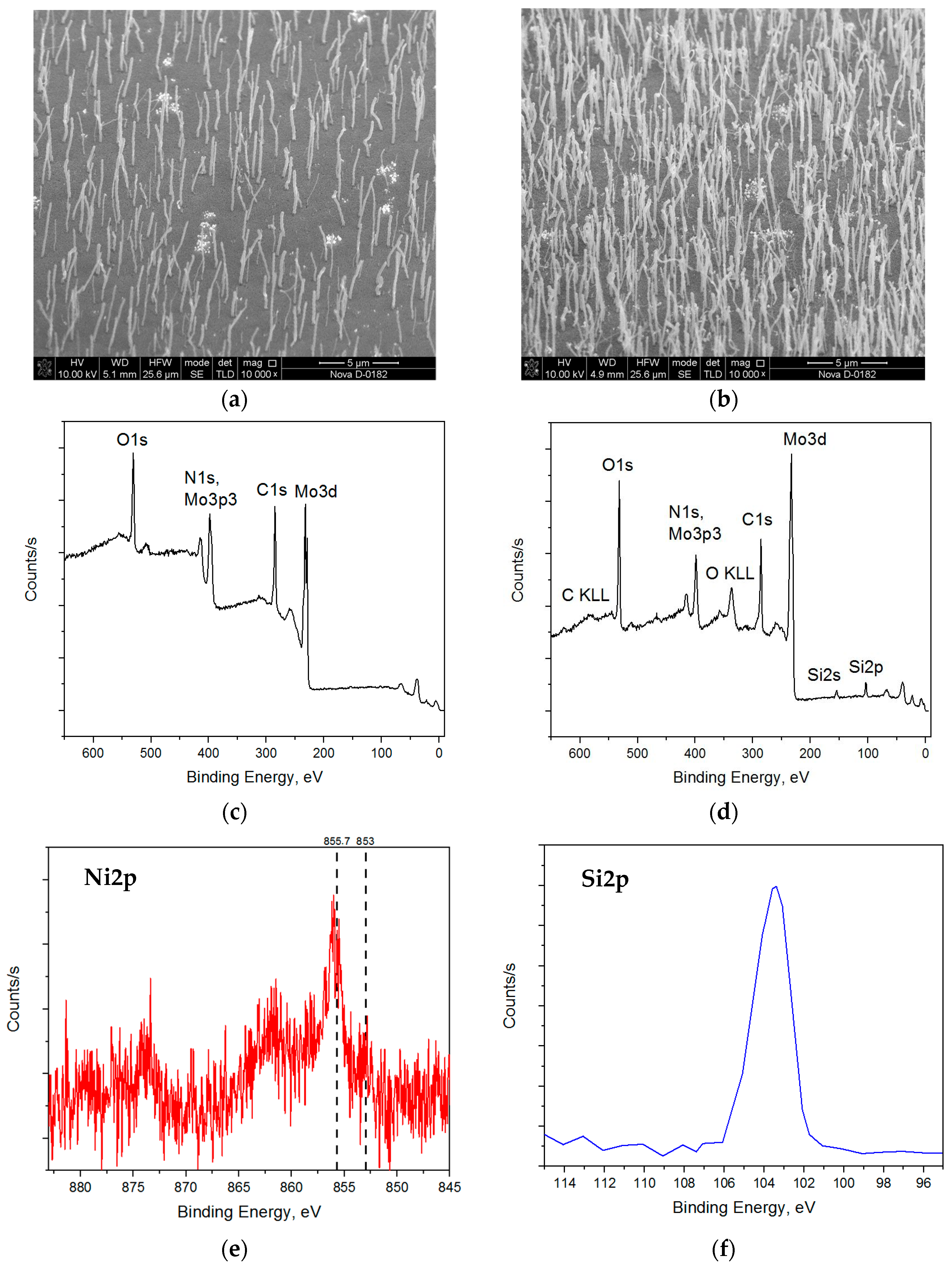 Qubs 07 00025 g001 Qubs 07 00025 g001