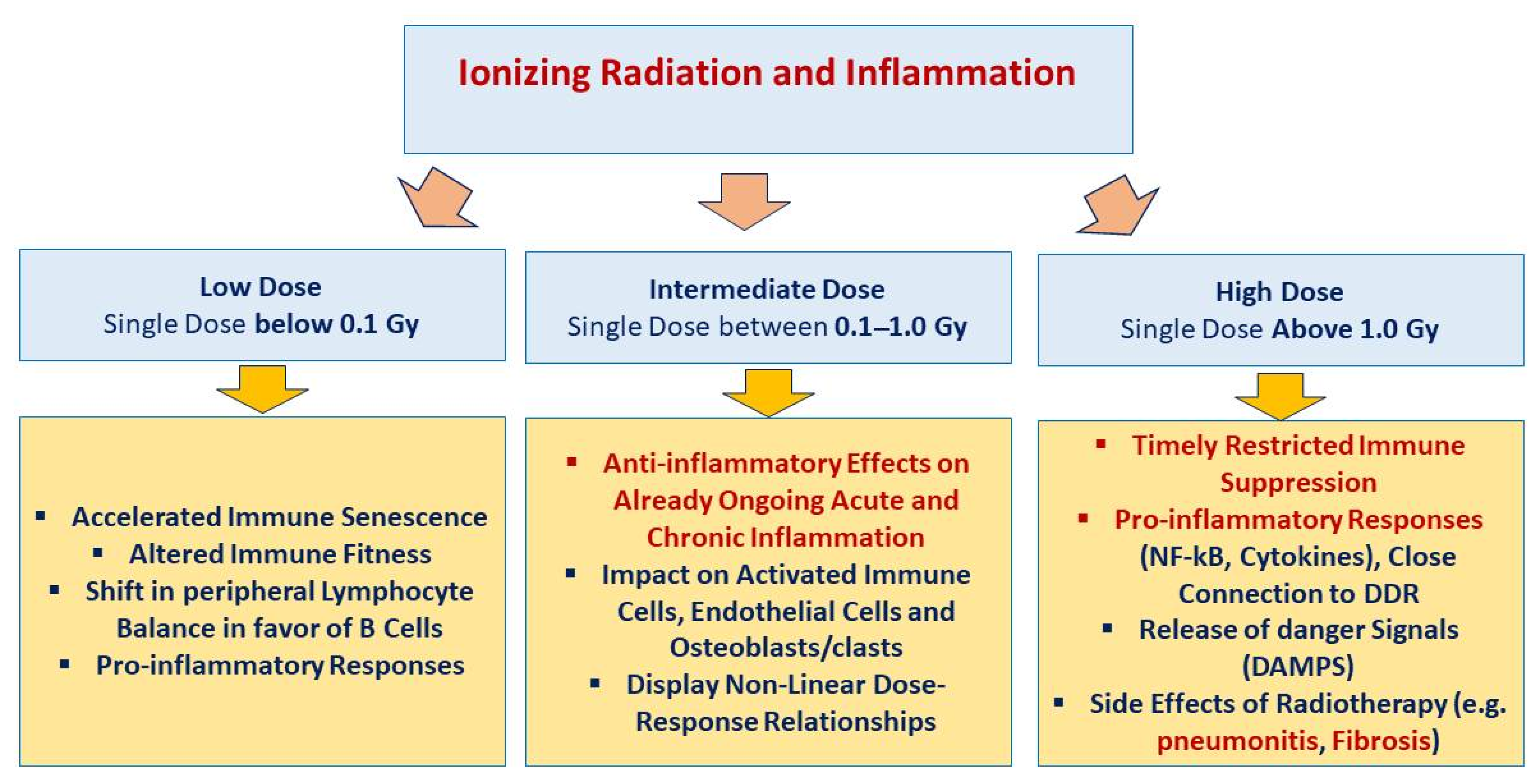 Radiation | Free Full-Text | Low-Dose Radiation Therapy for COVID-19: A ...