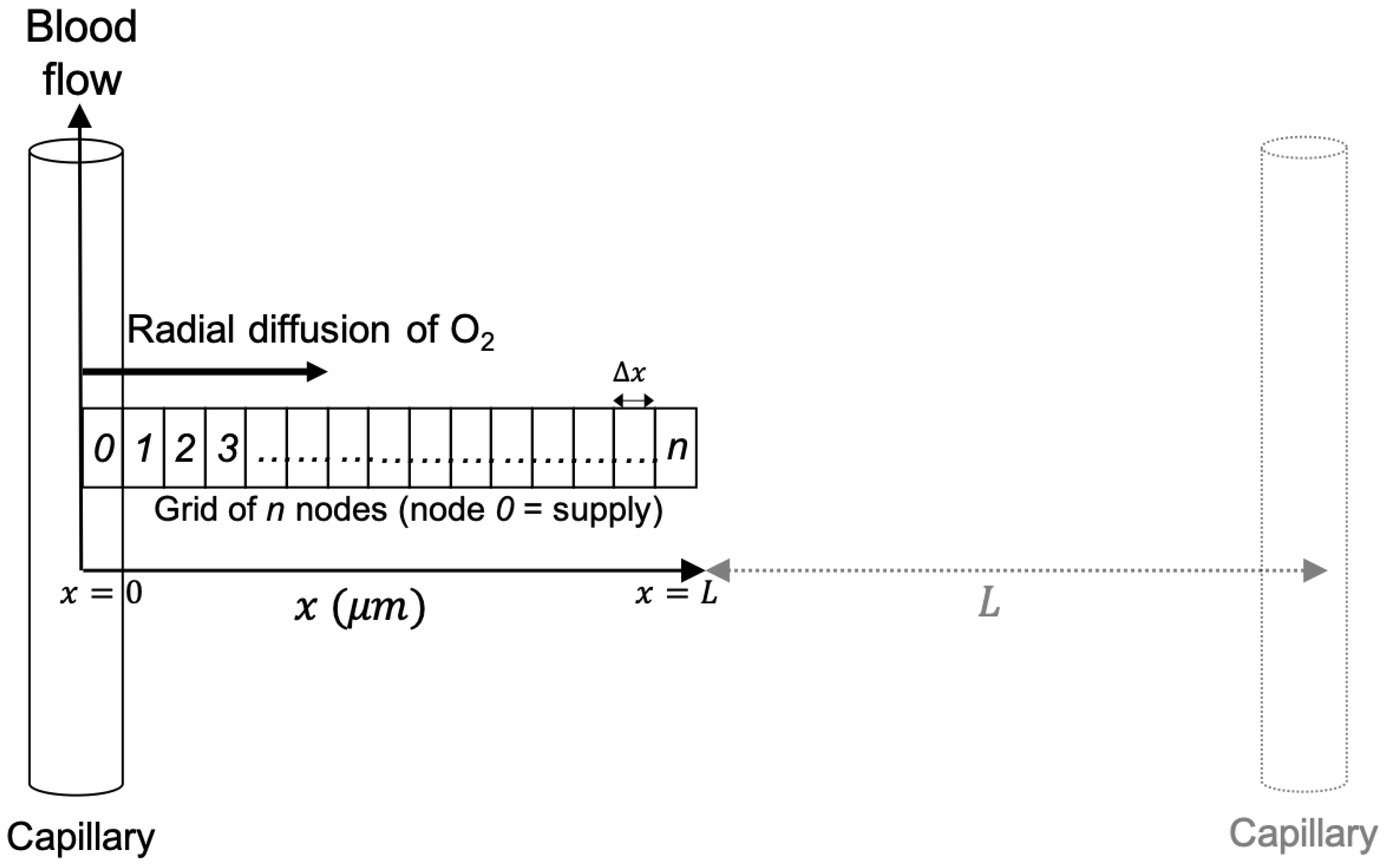 Radiation 01 00024 g001 550