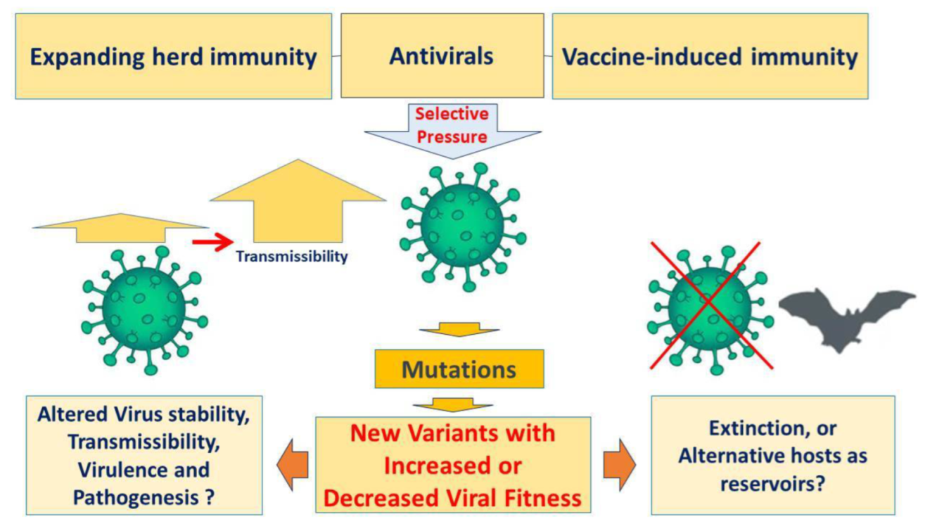 Radiation 02 00020 g003 550