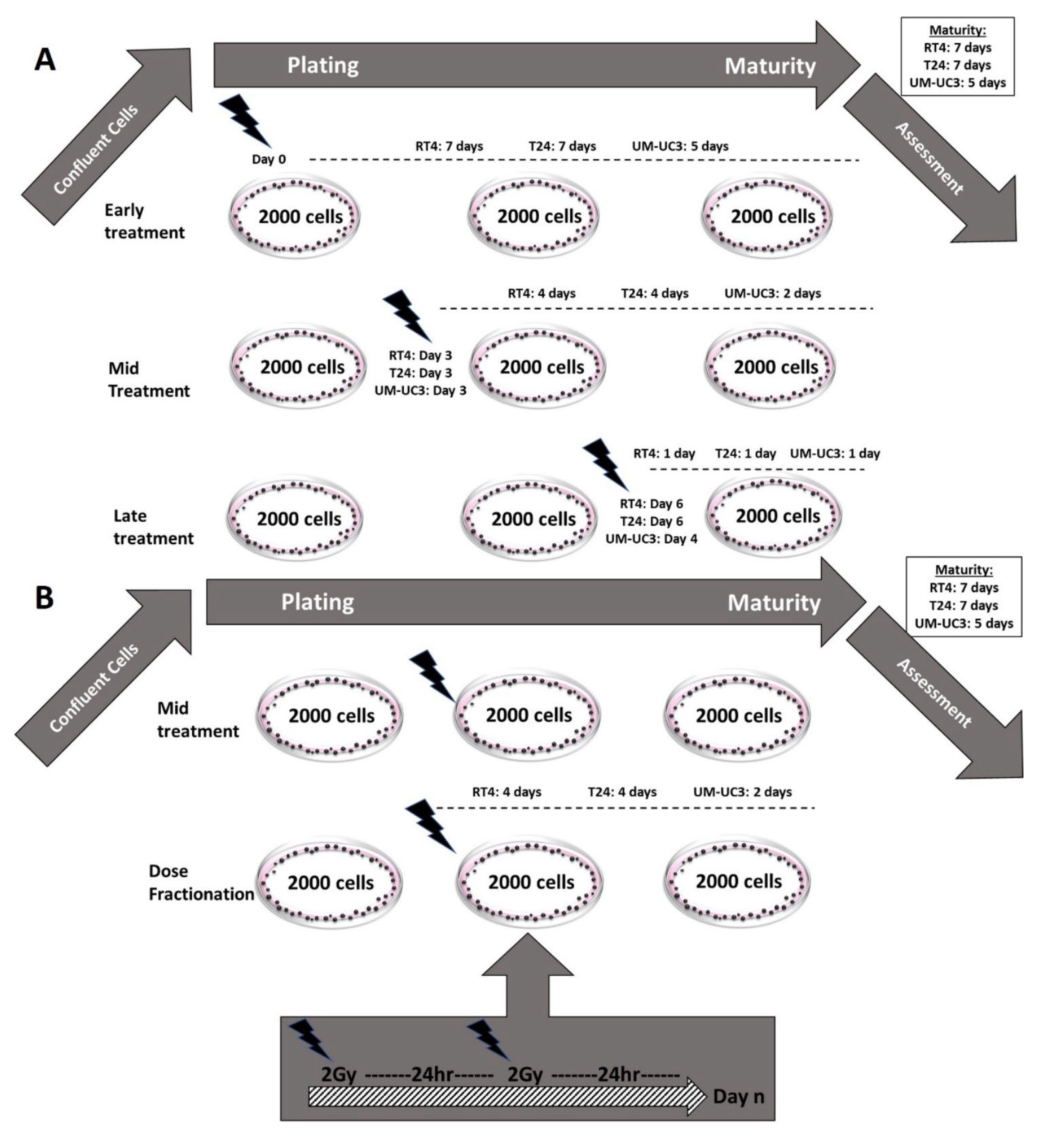 Radiation 02 00025 g001 Radiation 02 00025 g001