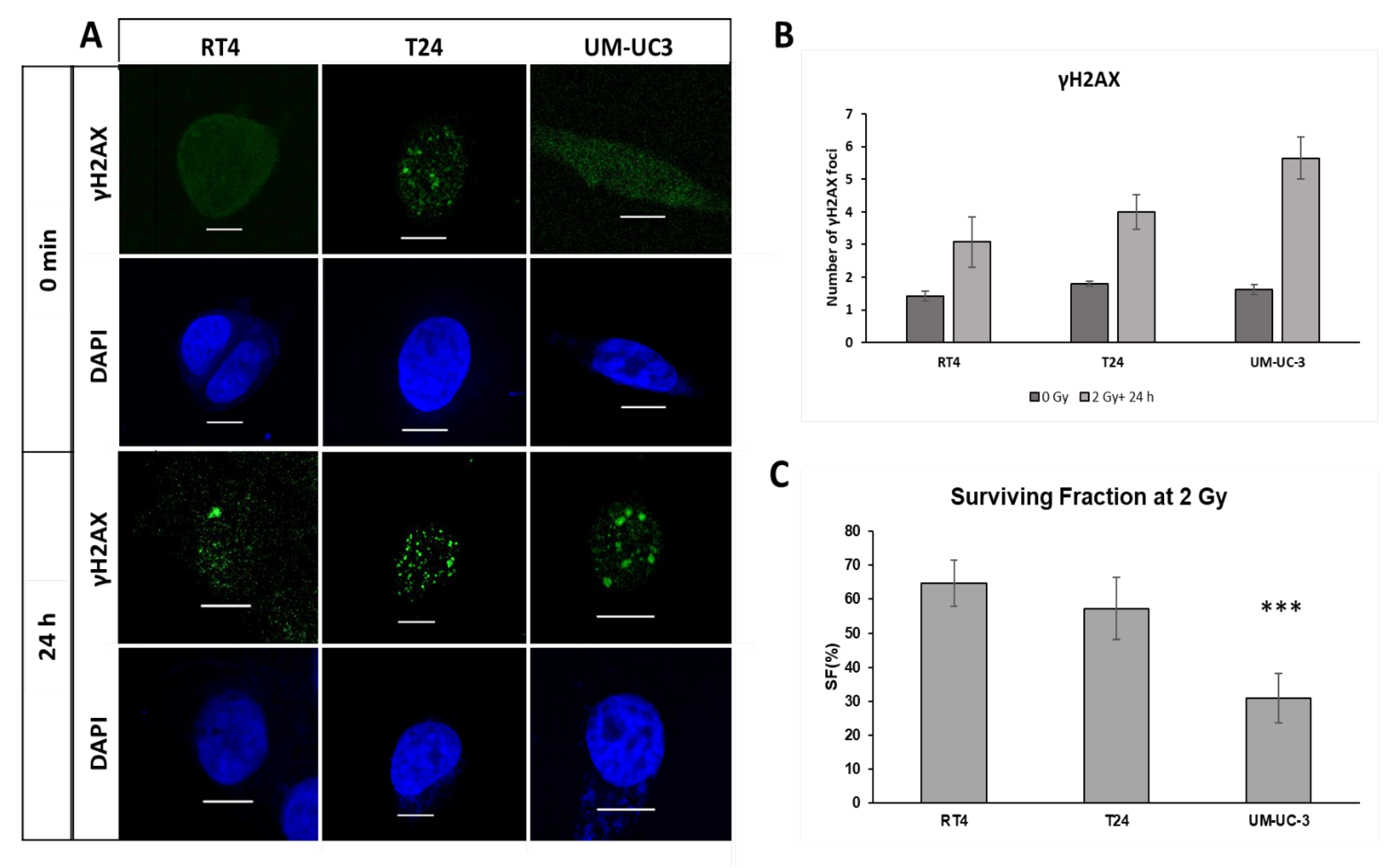 Radiation 02 00025 g002 Radiation 02 00025 g002