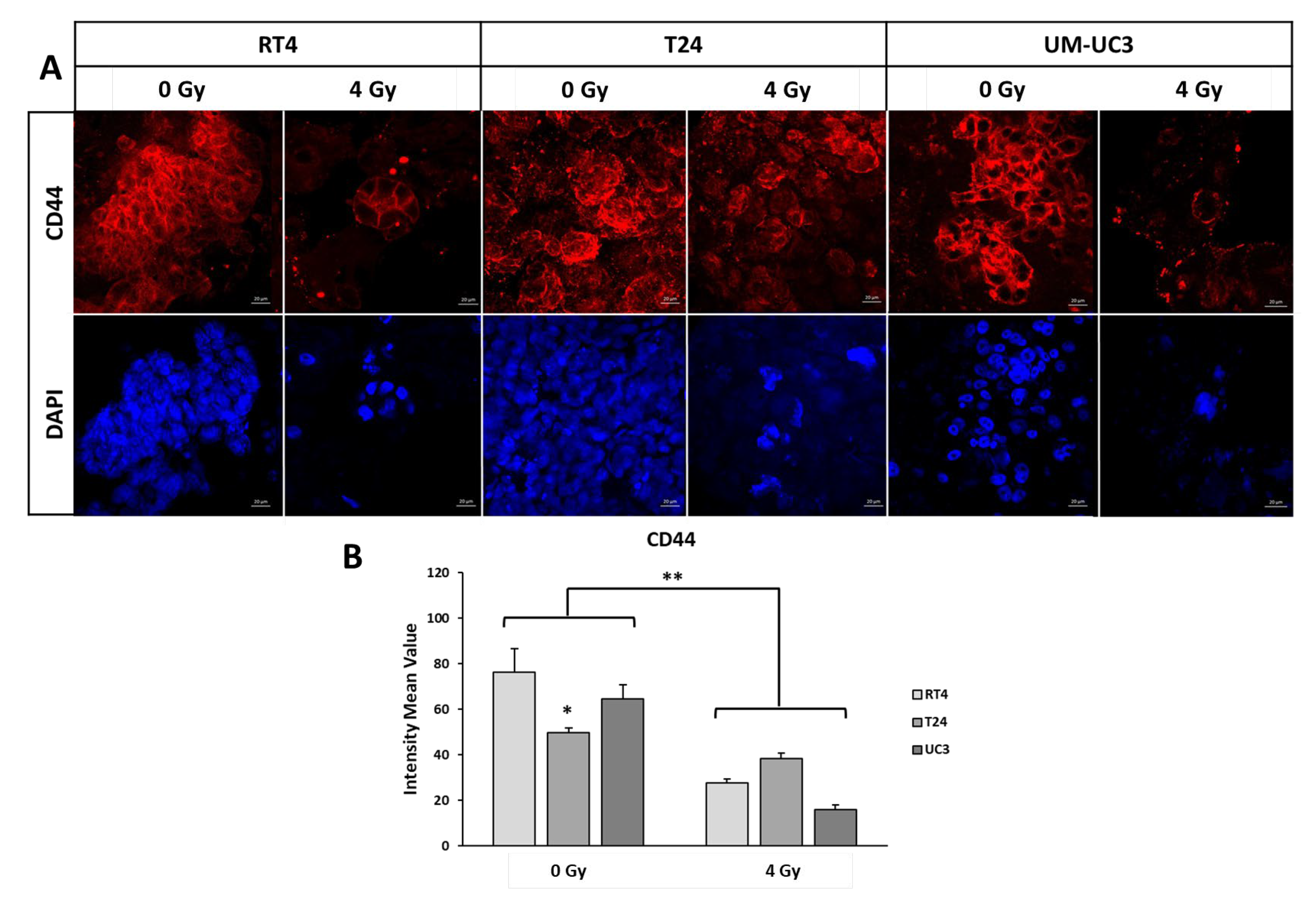 Radiation 02 00025 g005 Radiation 02 00025 g005