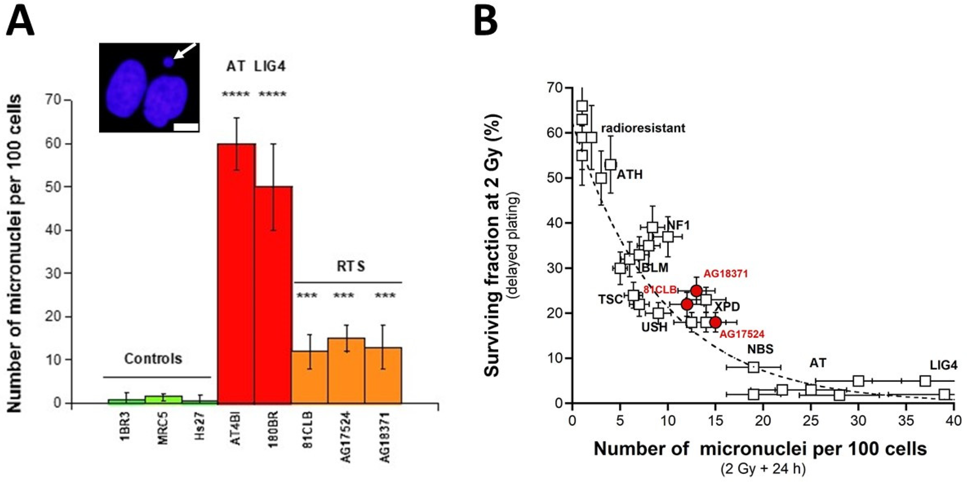 Radiation 03 00002 g002