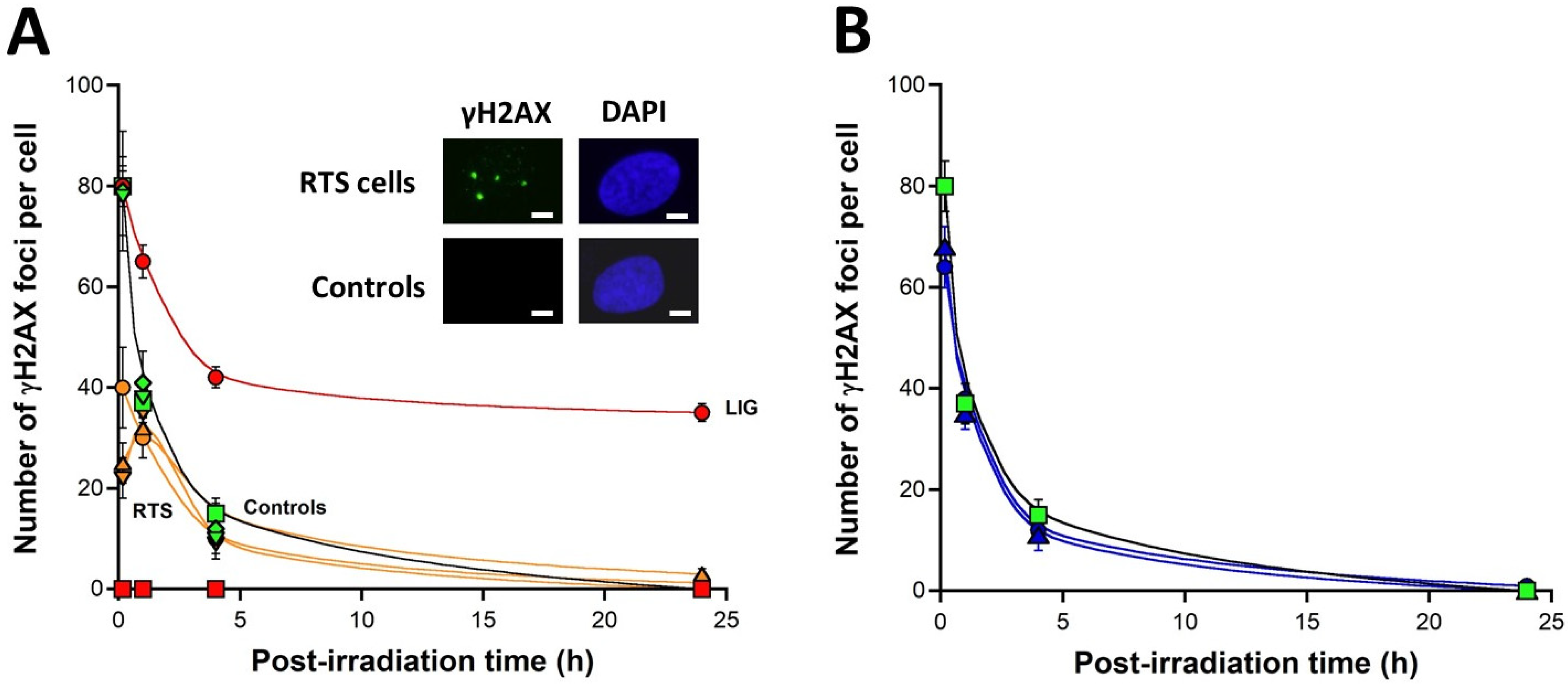 Radiation 03 00002 g003