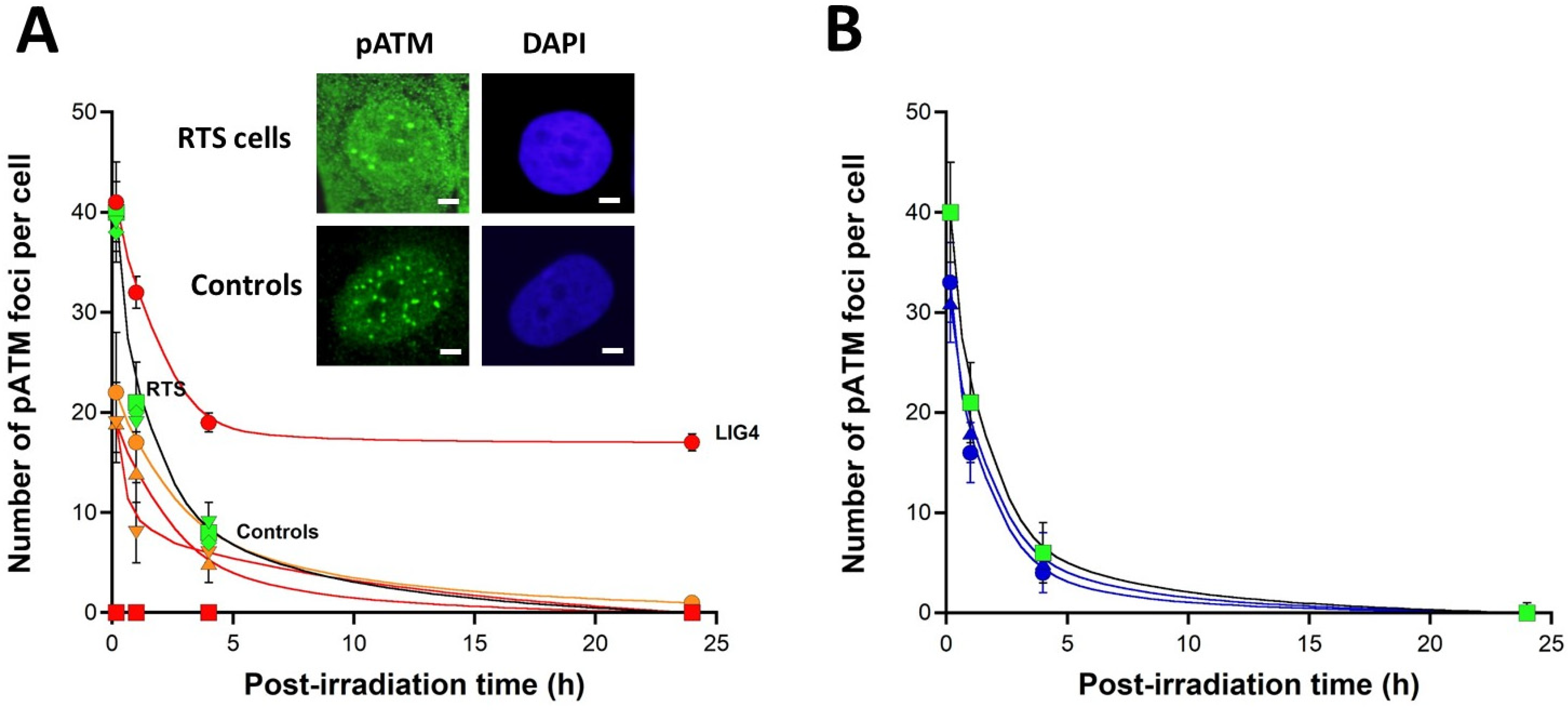 Radiation 03 00002 g004