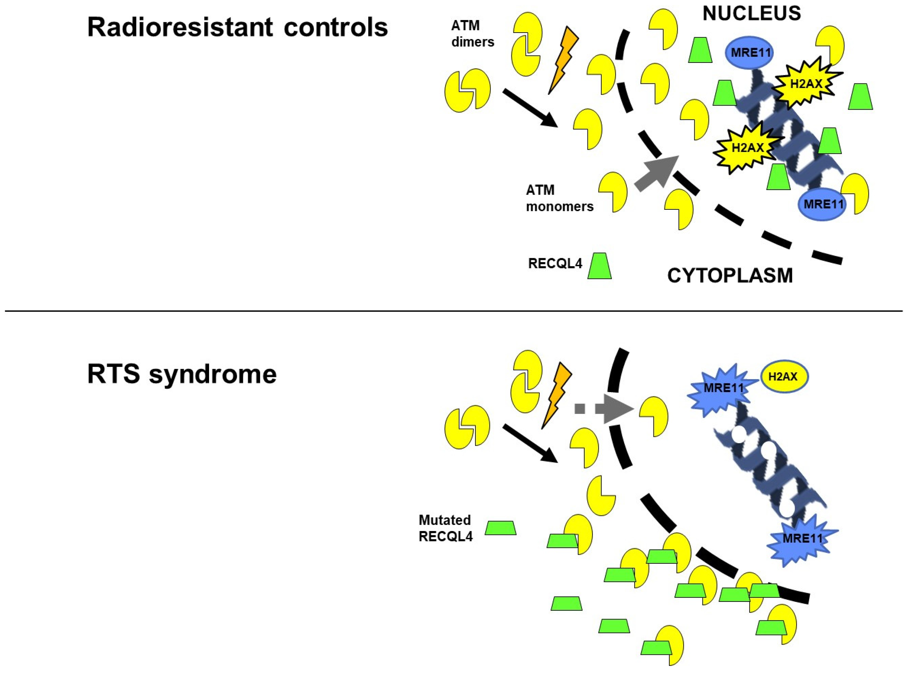 Radiation 03 00002 g010