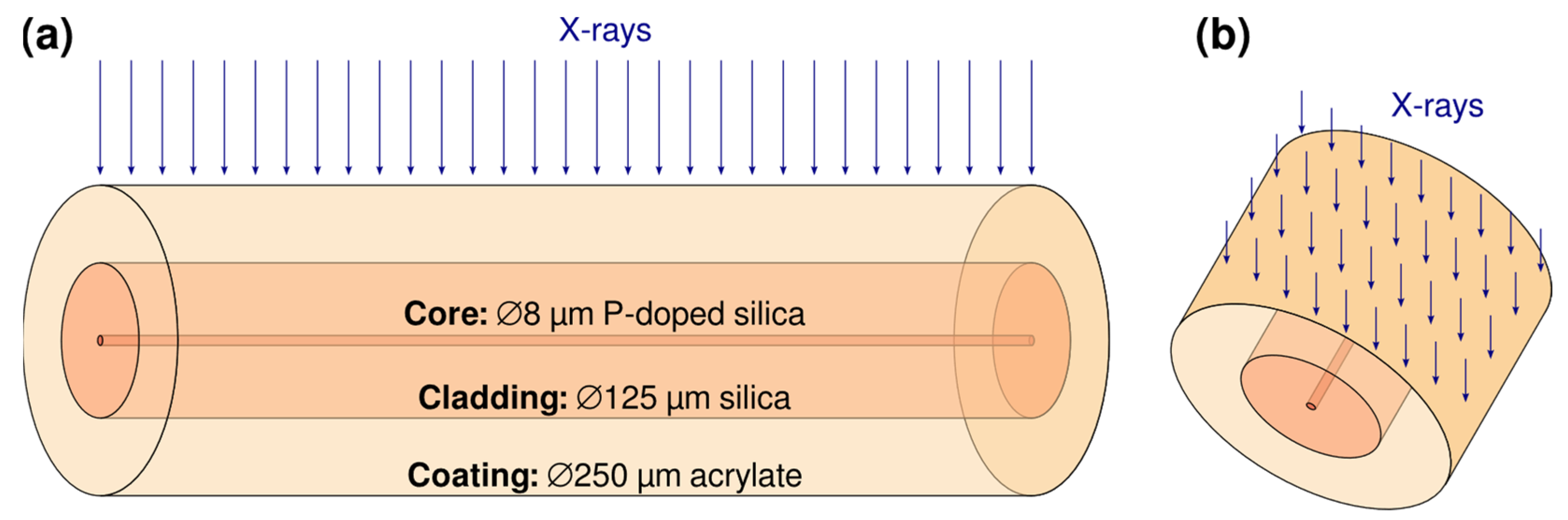 Radiation 03 00006 g003