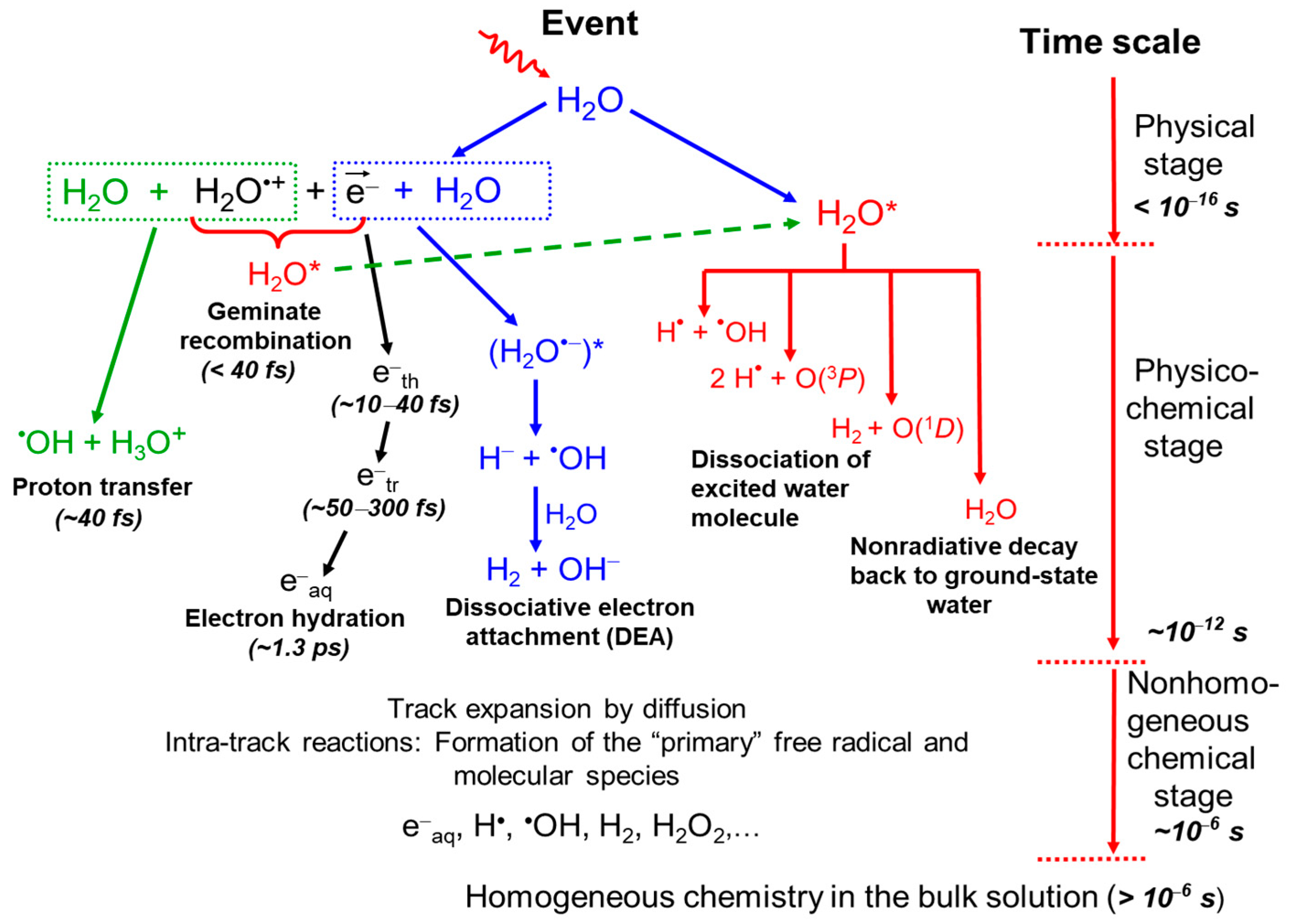 Radiation 03 00014 g001