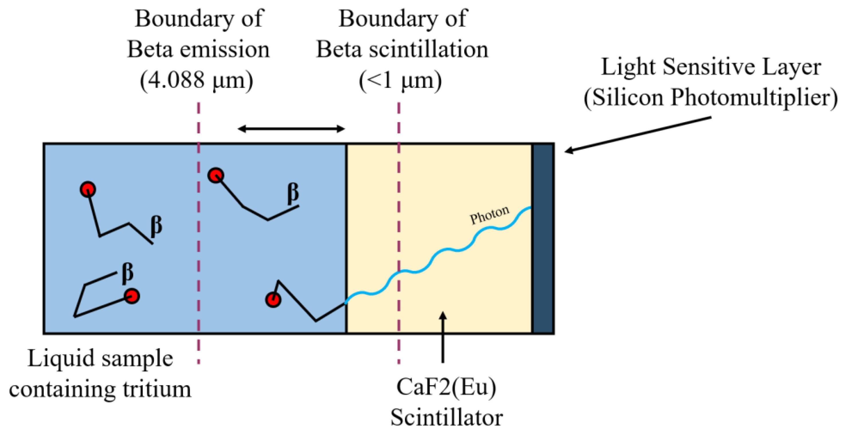Radiation 03 00017 g001