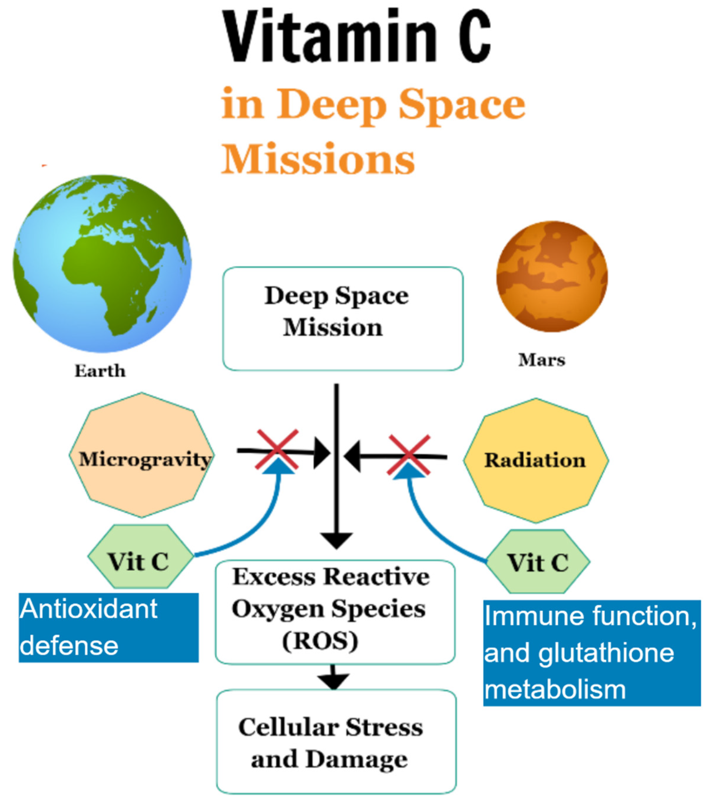 Radiation 04 00008 g002
