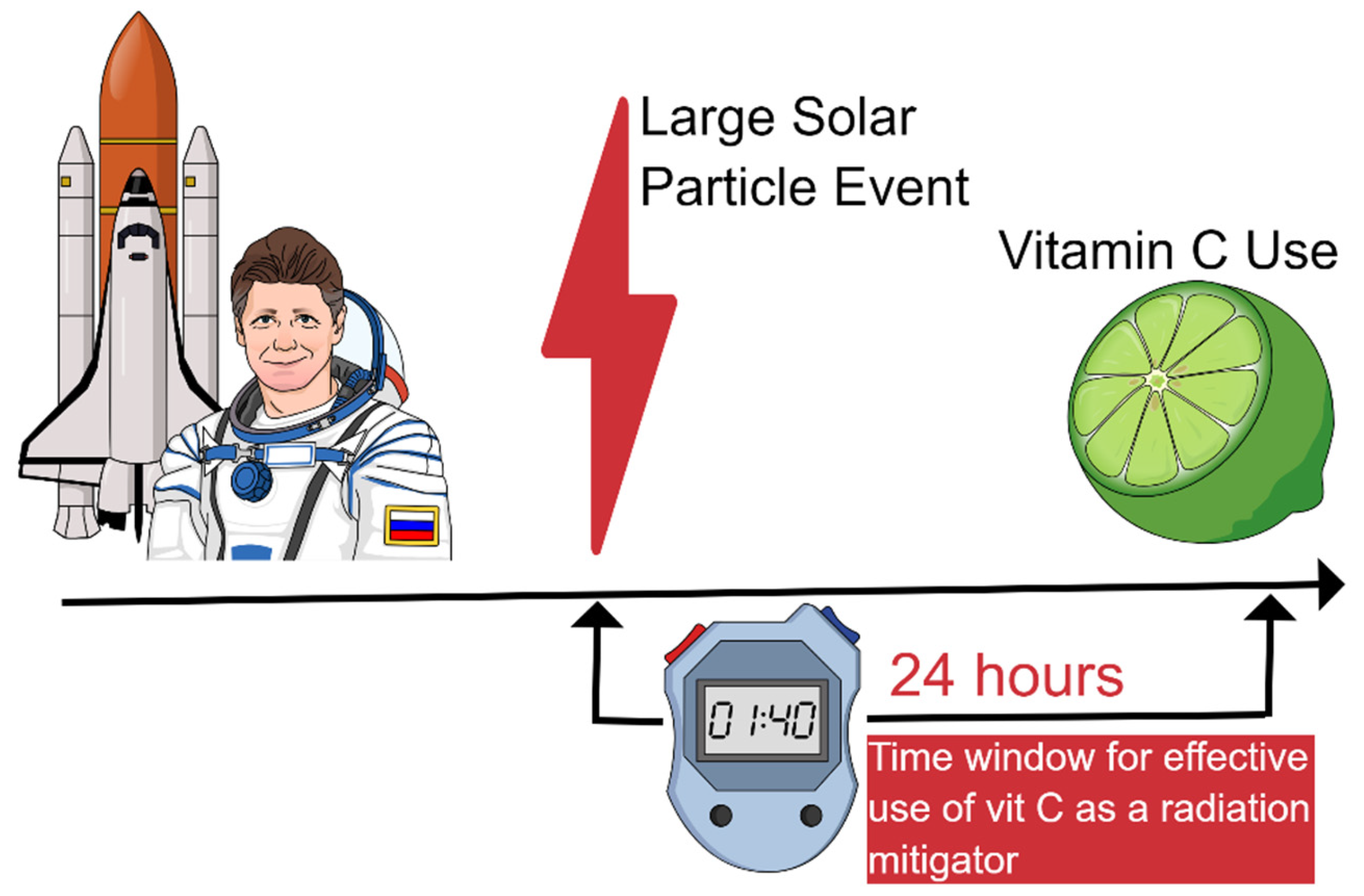Radiation 04 00008 g003