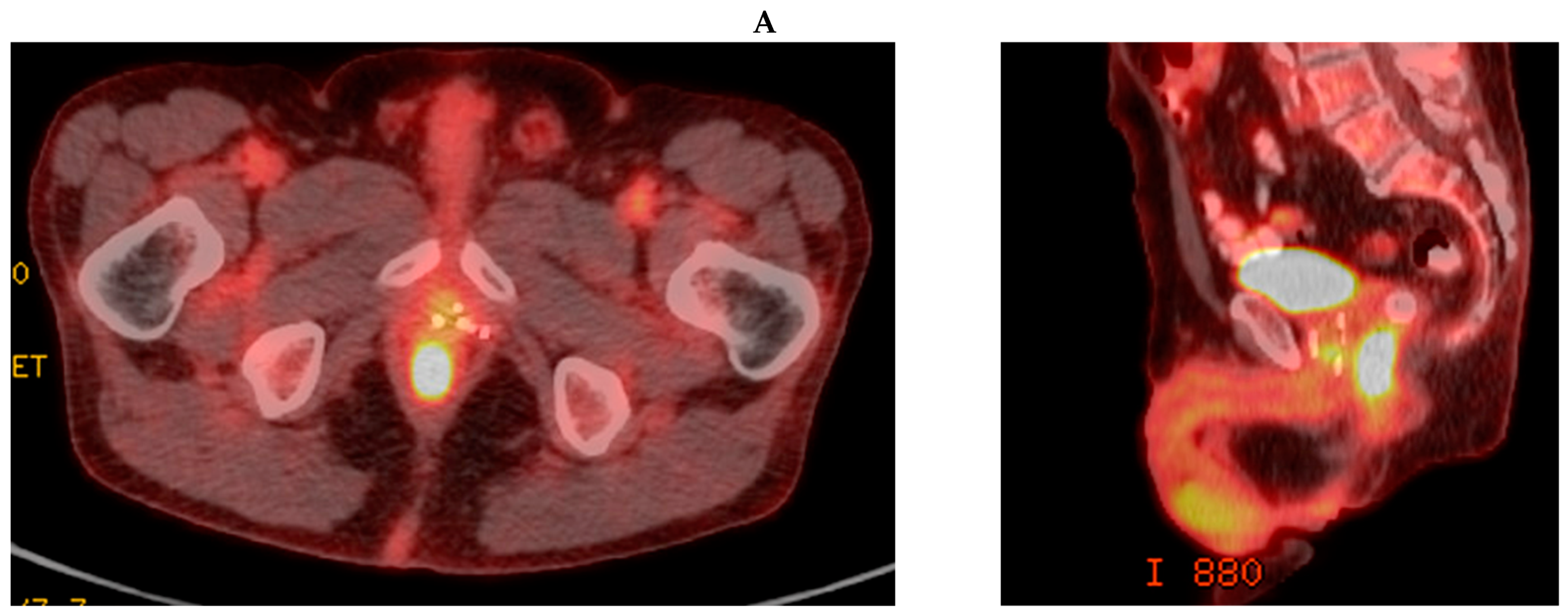 Radiation 04 00019 g001a