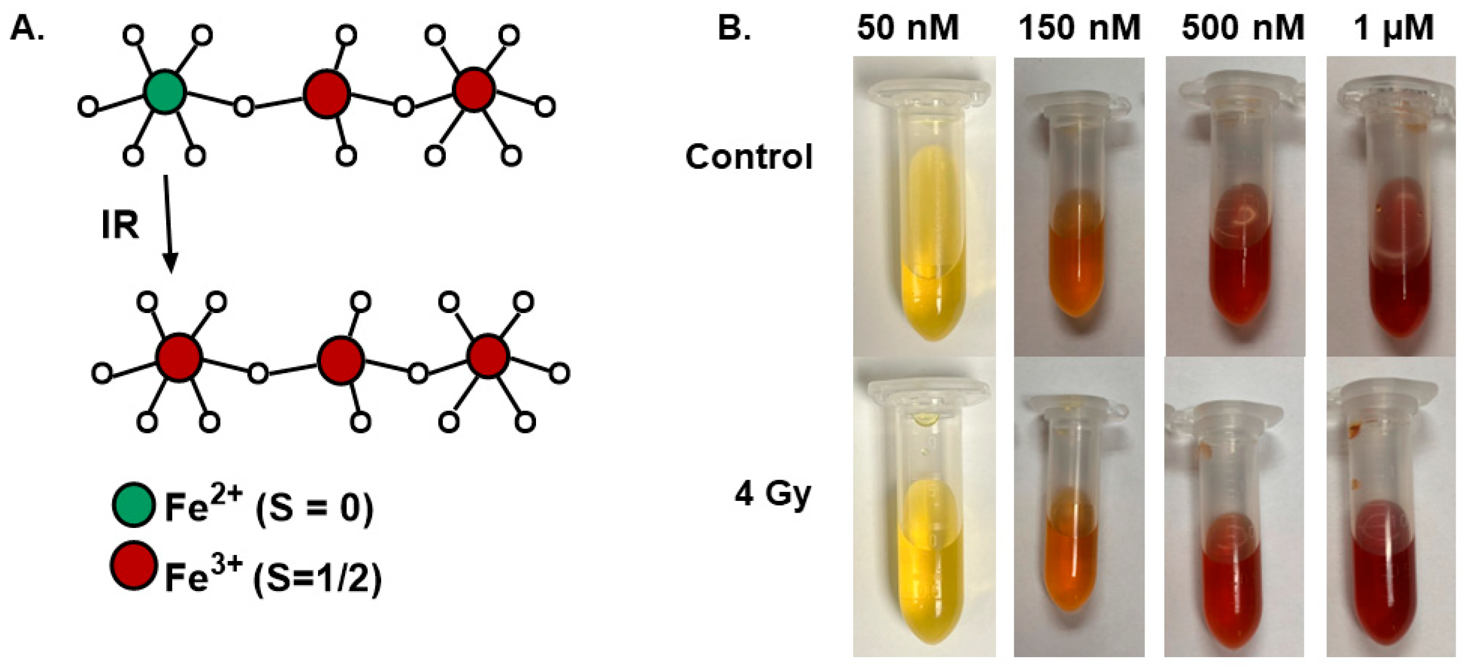Radiation 04 00020 g001