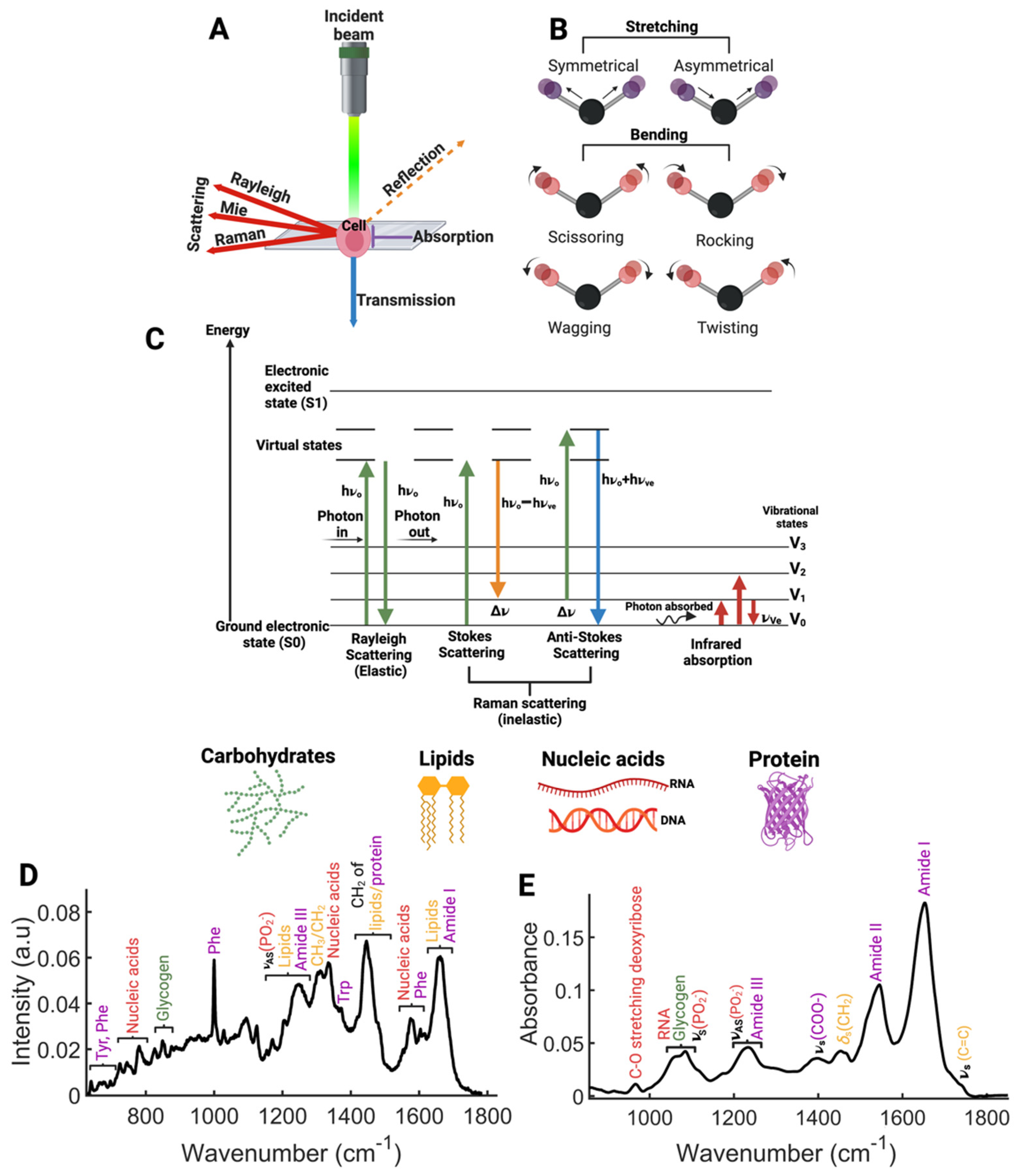 Radiation 04 00022 g001 Radiation 04 00022 g001