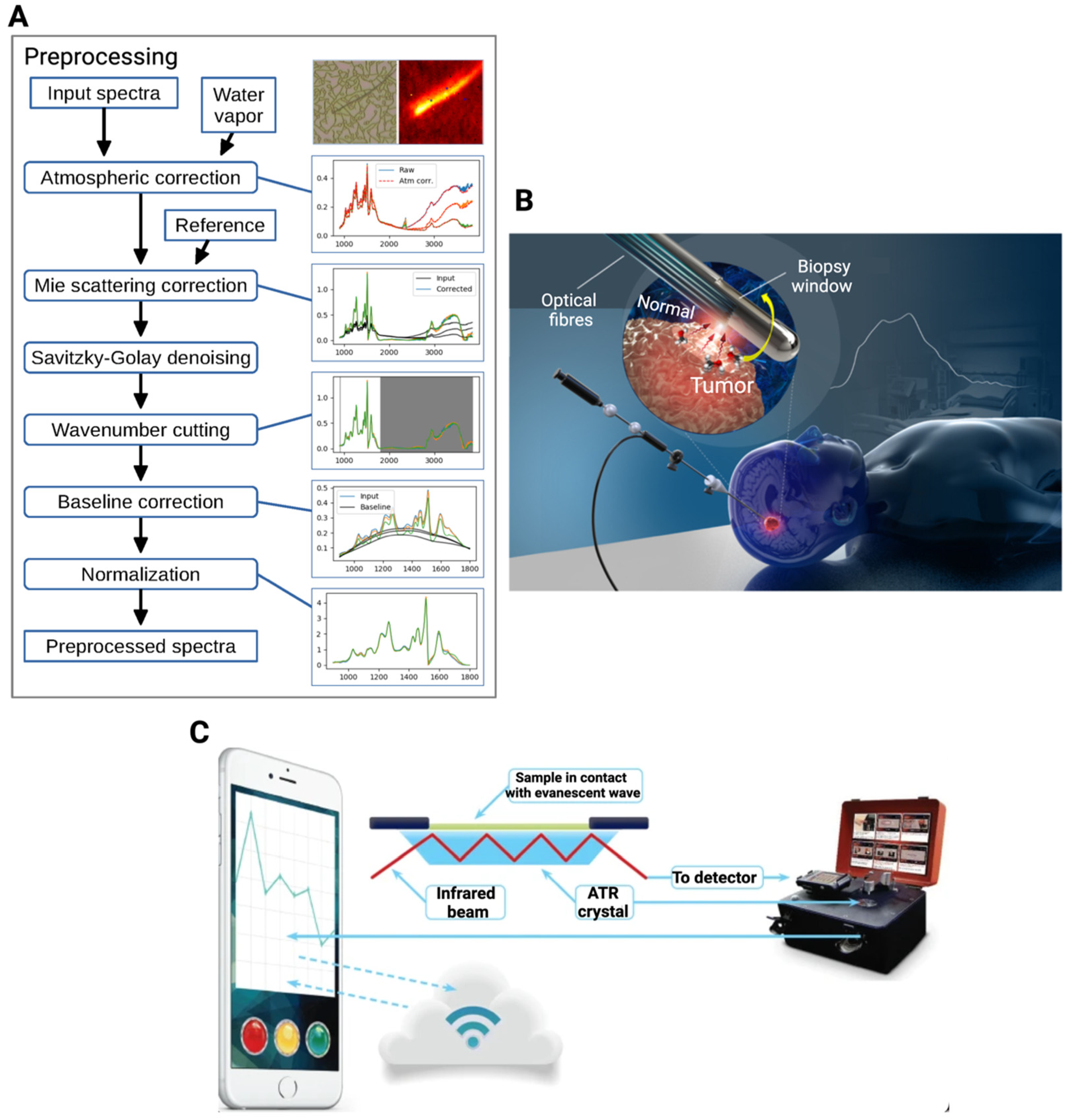 Radiation 04 00022 g009 Radiation 04 00022 g009