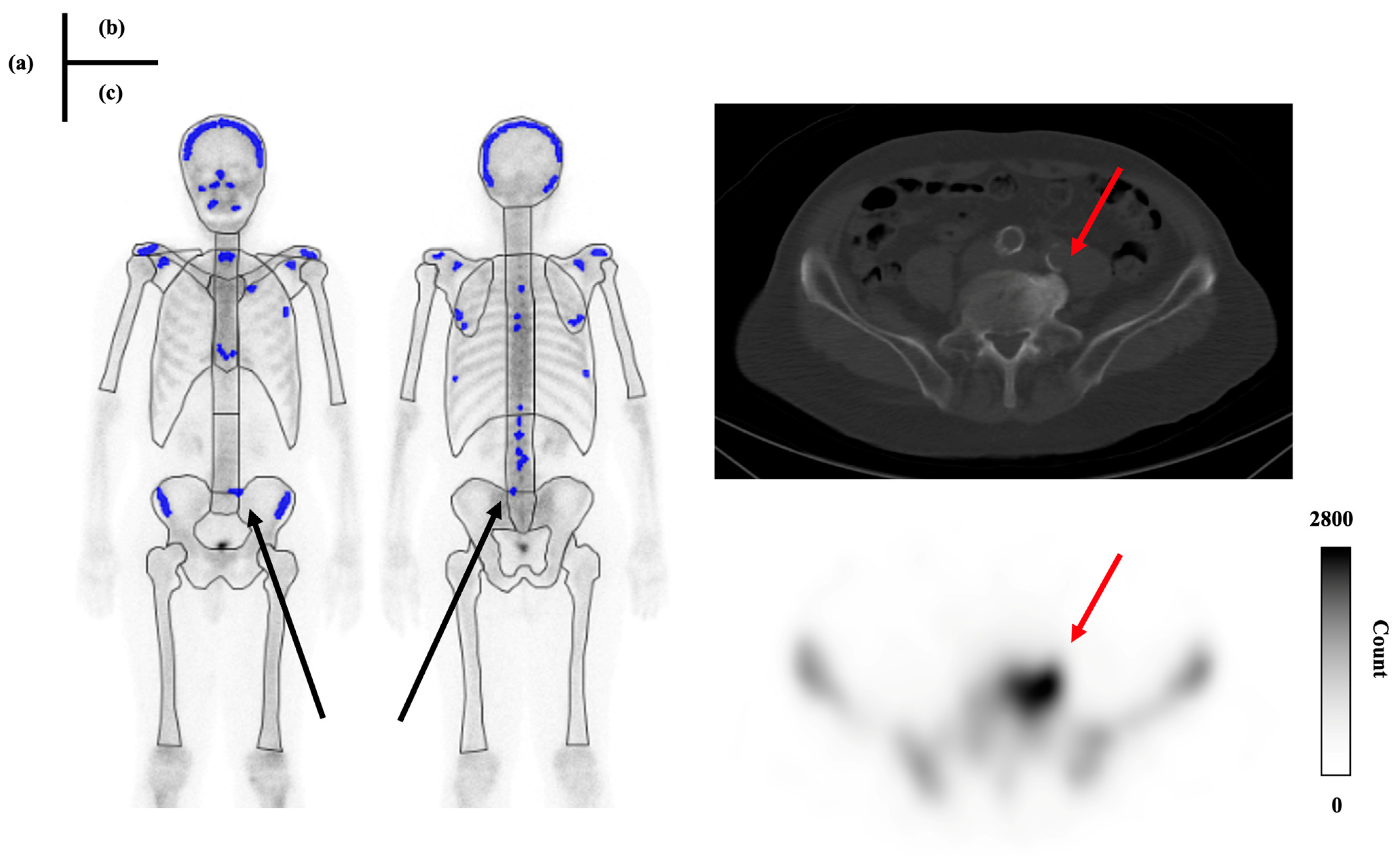 Radiation 05 00005 g009