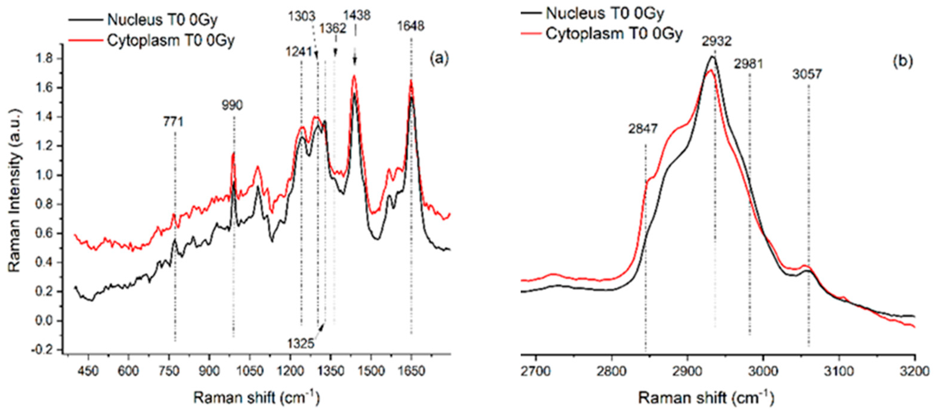 Radiation 05 00010 g002