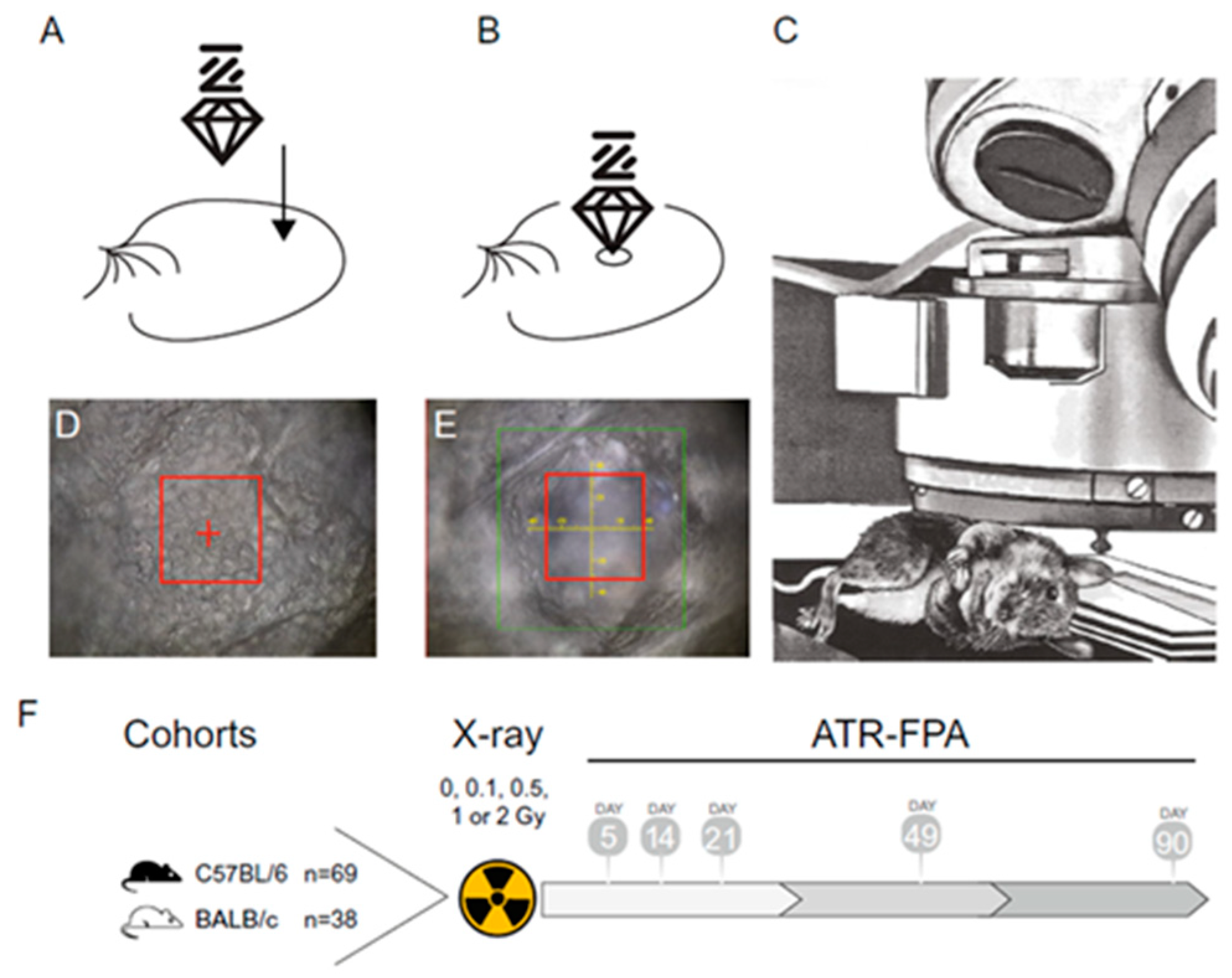Radiation 05 00010 g007