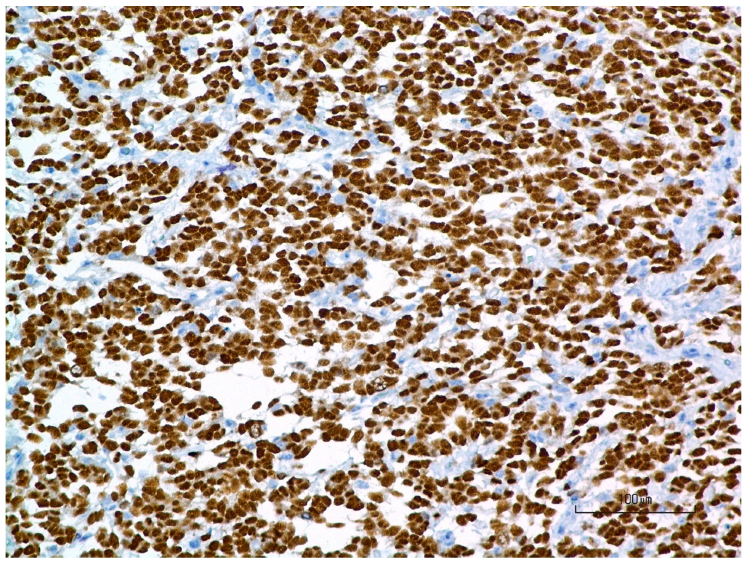 Radiation 05 00013 g009