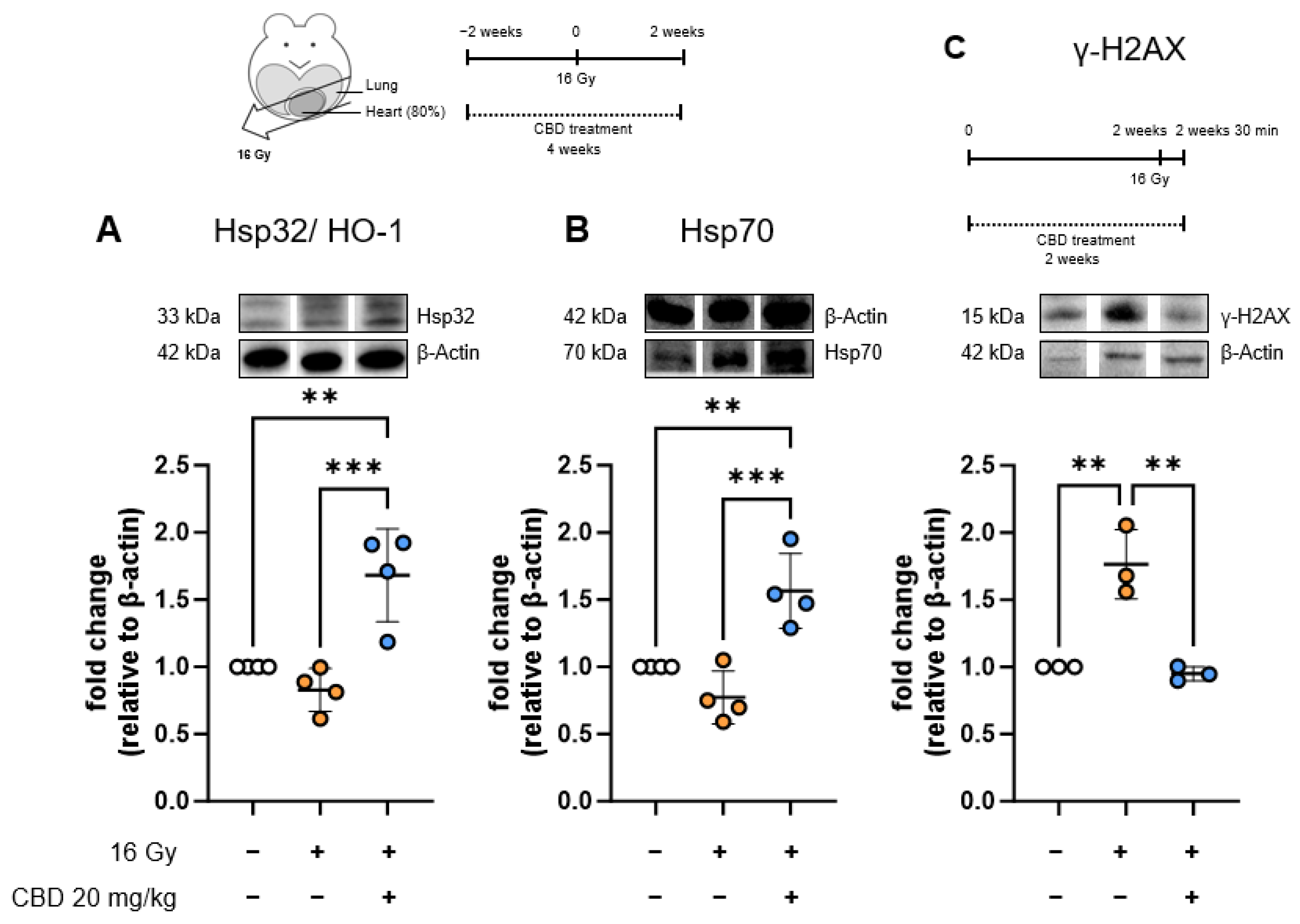 Radiation 05 00017 g003