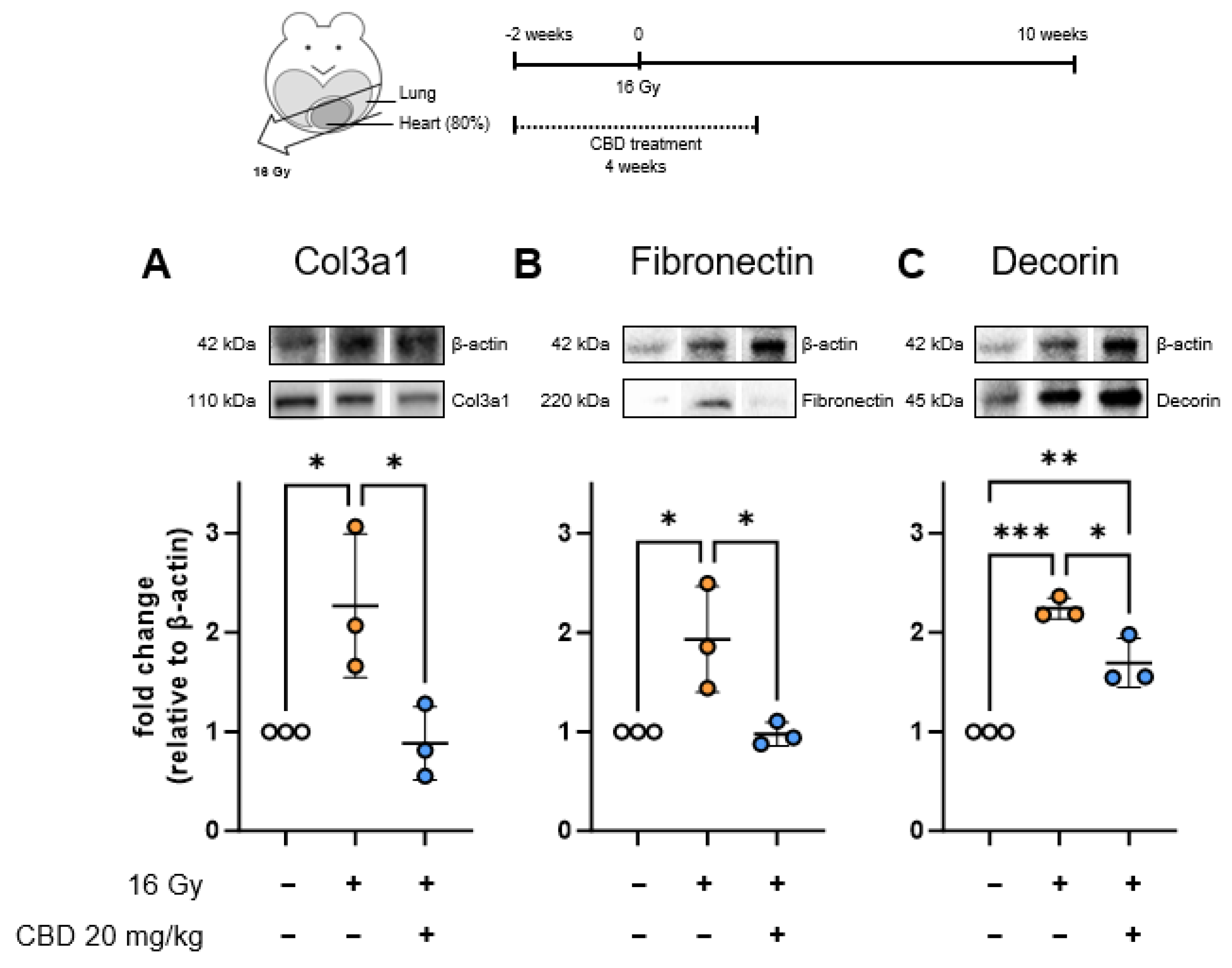 Radiation 05 00017 g006