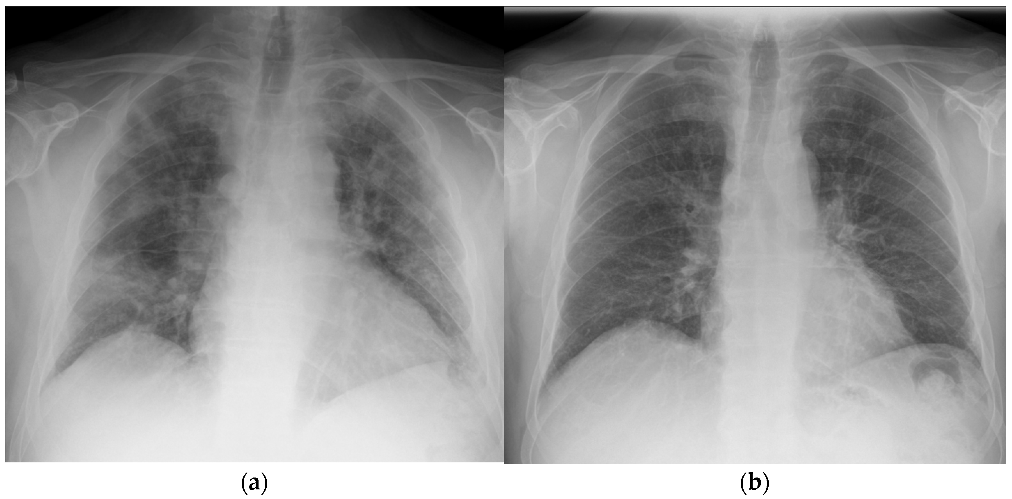 Radiation 05 00019 g002