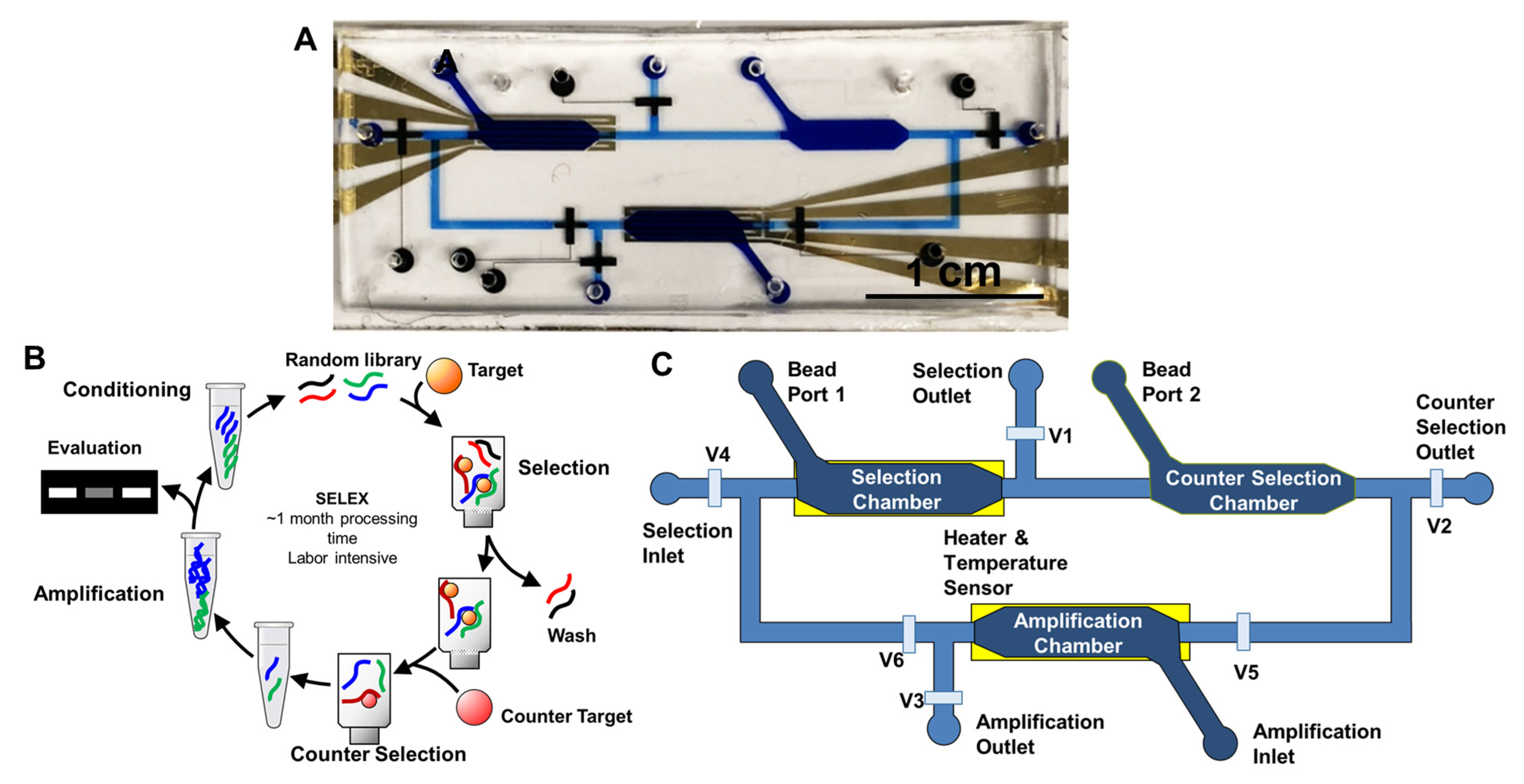Radiation 05 00030 g001 Radiation 05 00030 g001