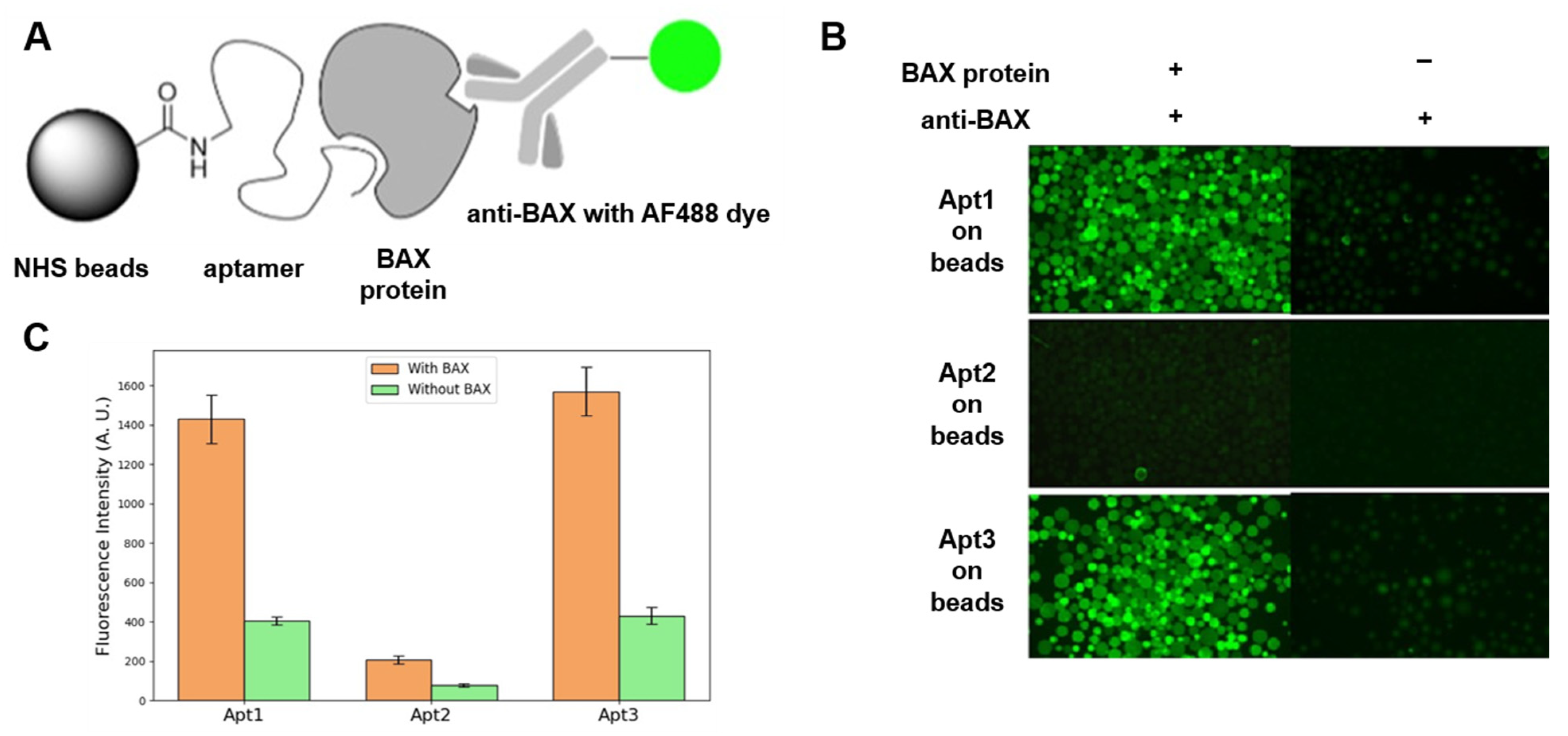 Radiation 05 00030 g002 Radiation 05 00030 g002