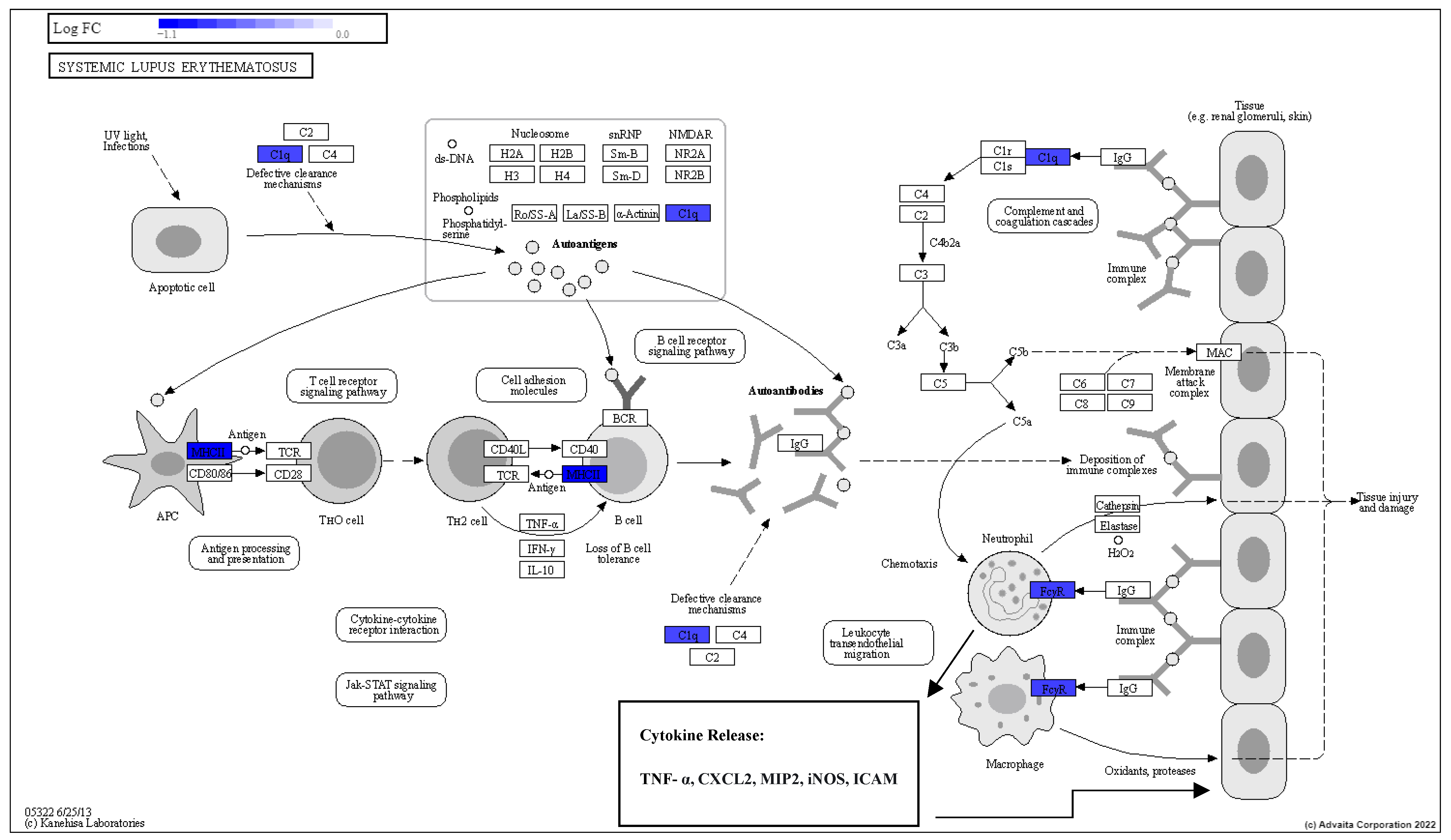 Radiation 05 00035 g004 Radiation 05 00035 g004