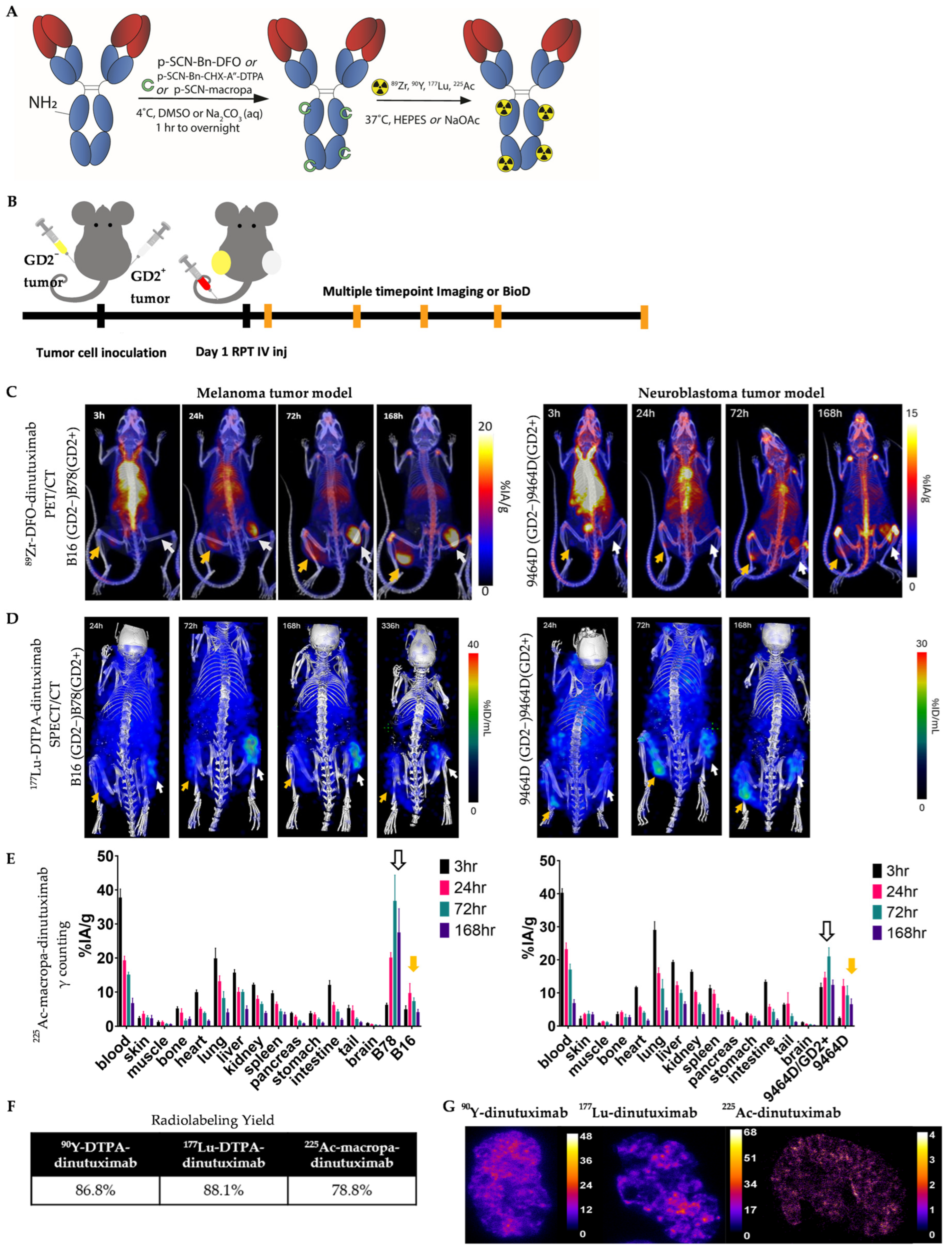 Radiation 05 00039 g001 Radiation 05 00039 g001