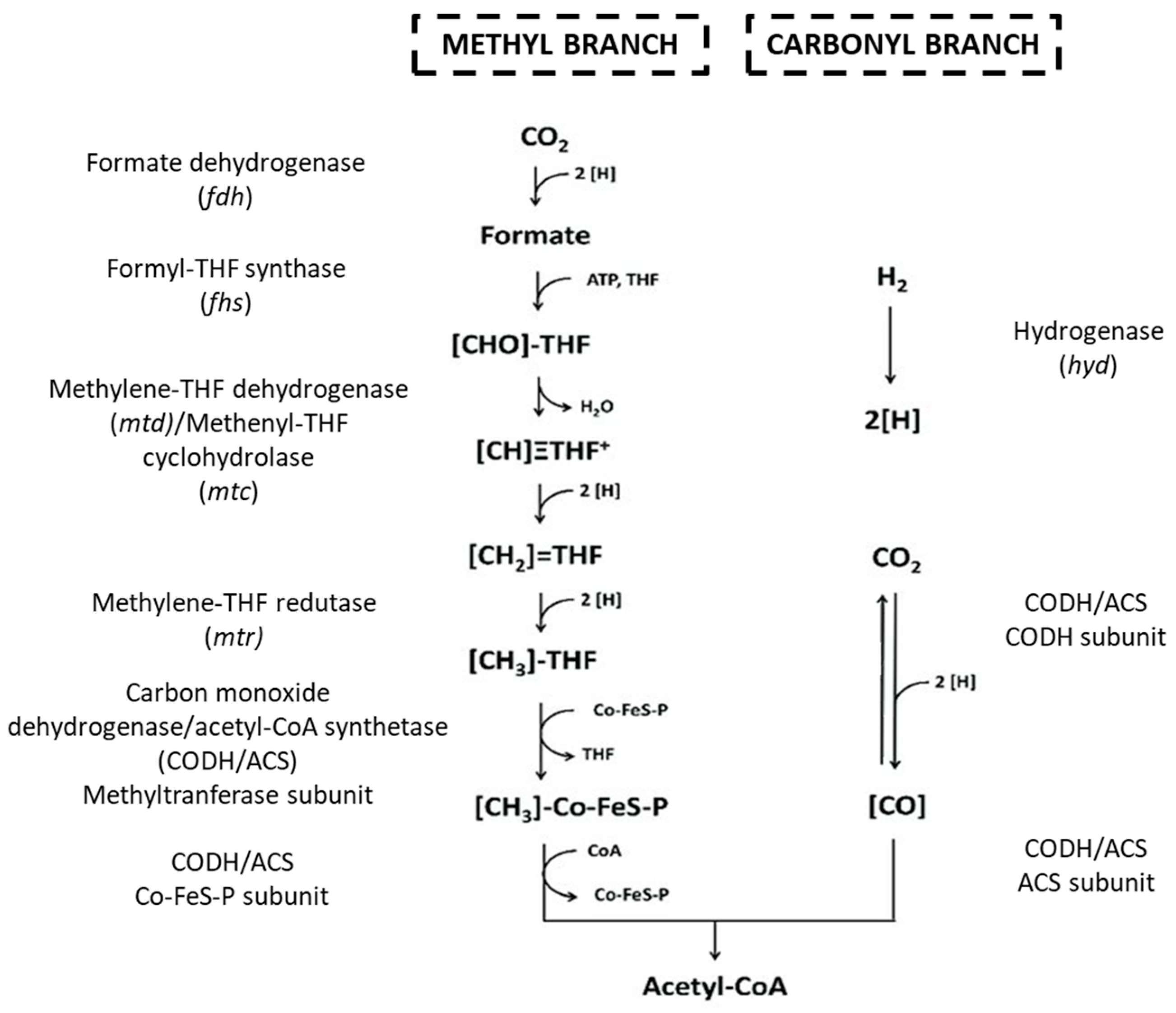 Reactions 02 00025 g001