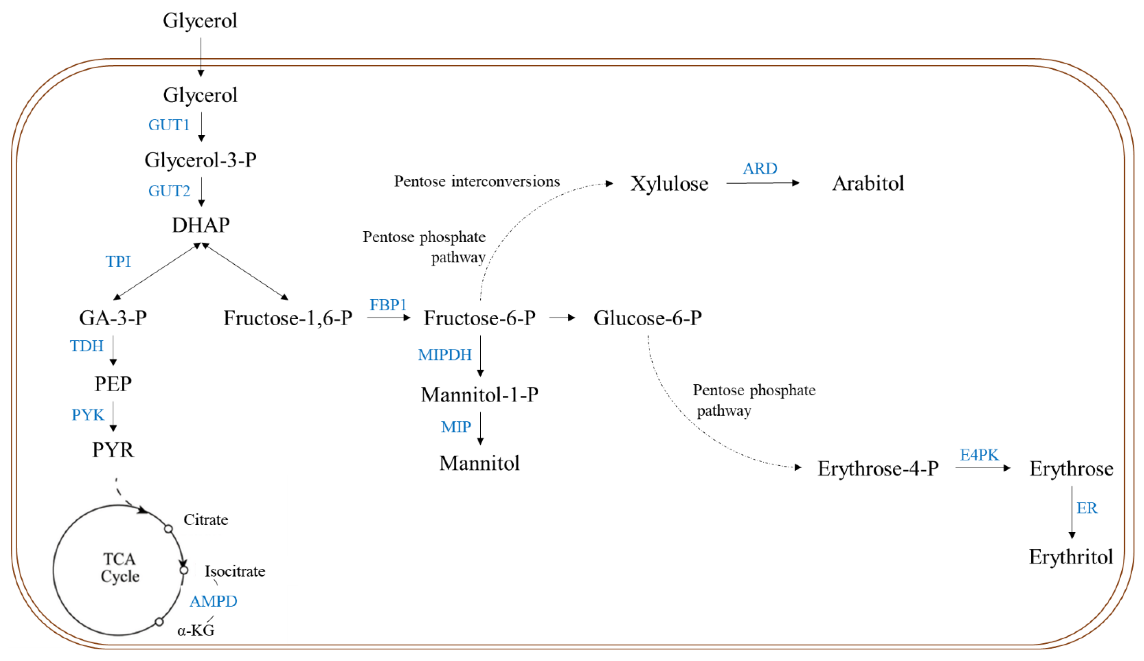 Reactions 02 00032 g001