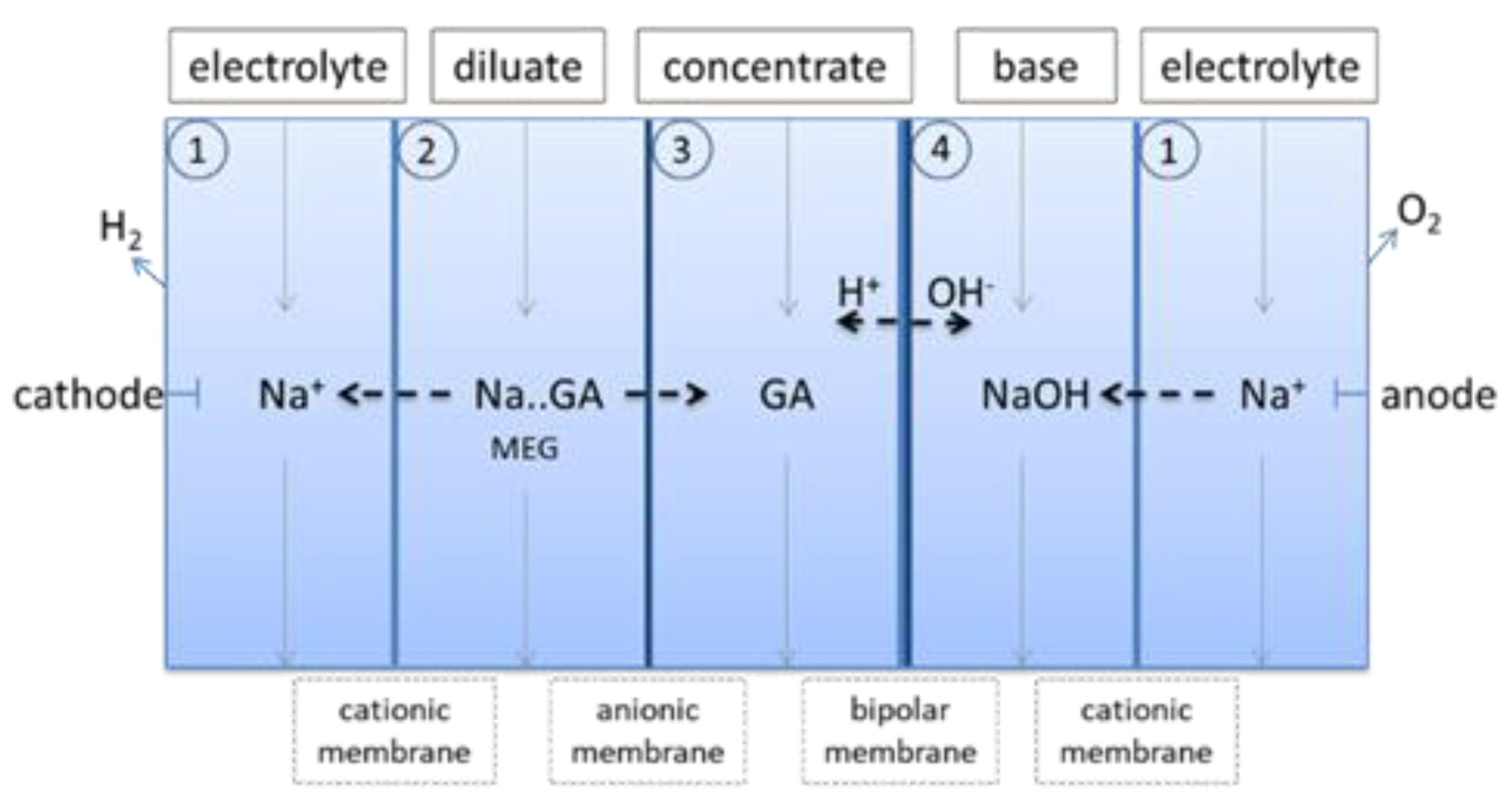 Reactions 03 00004 g005 550