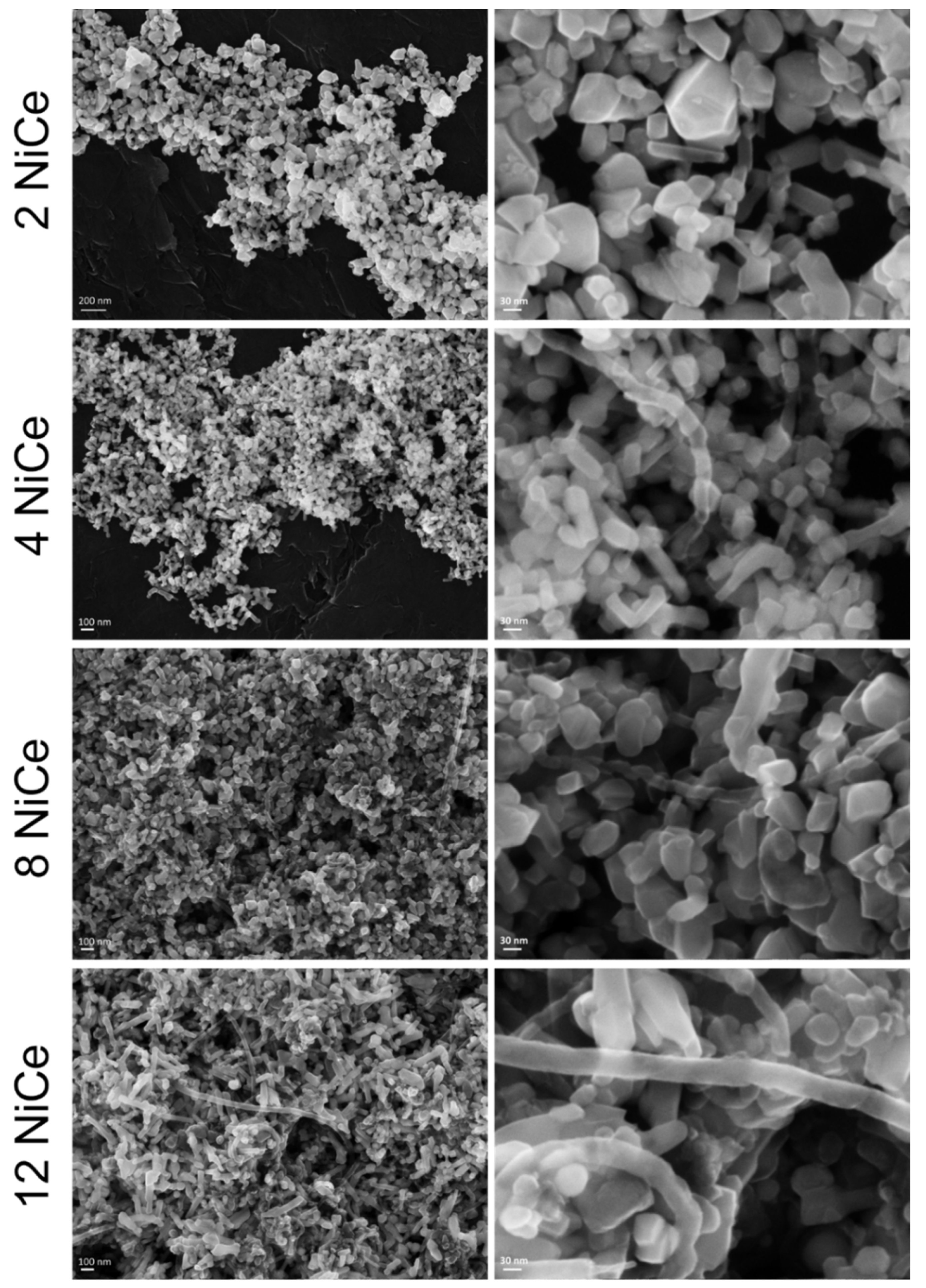 Reactions 03 00025 g010