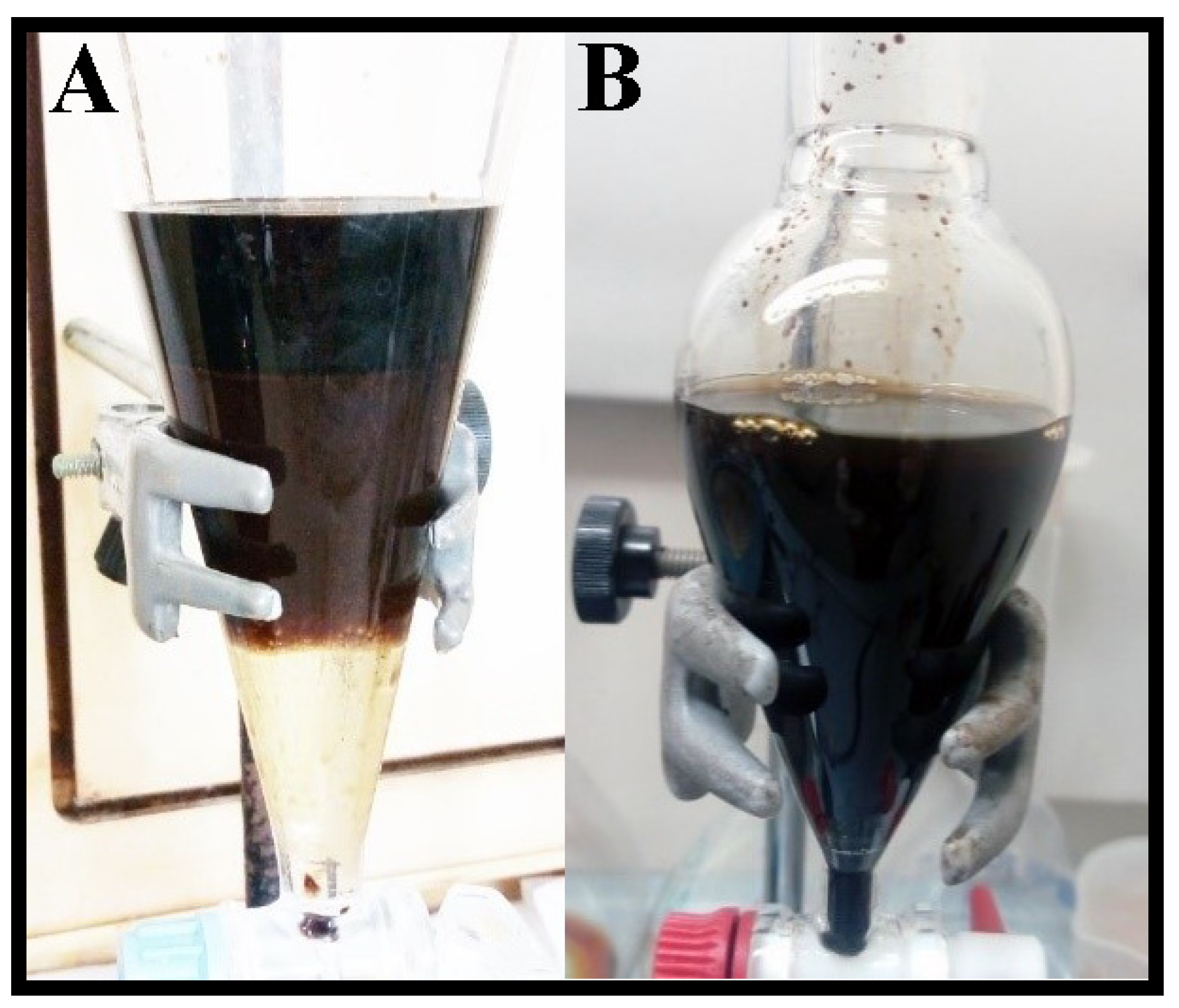 Reactions 03 00037 g001 Reactions 03 00037 g001