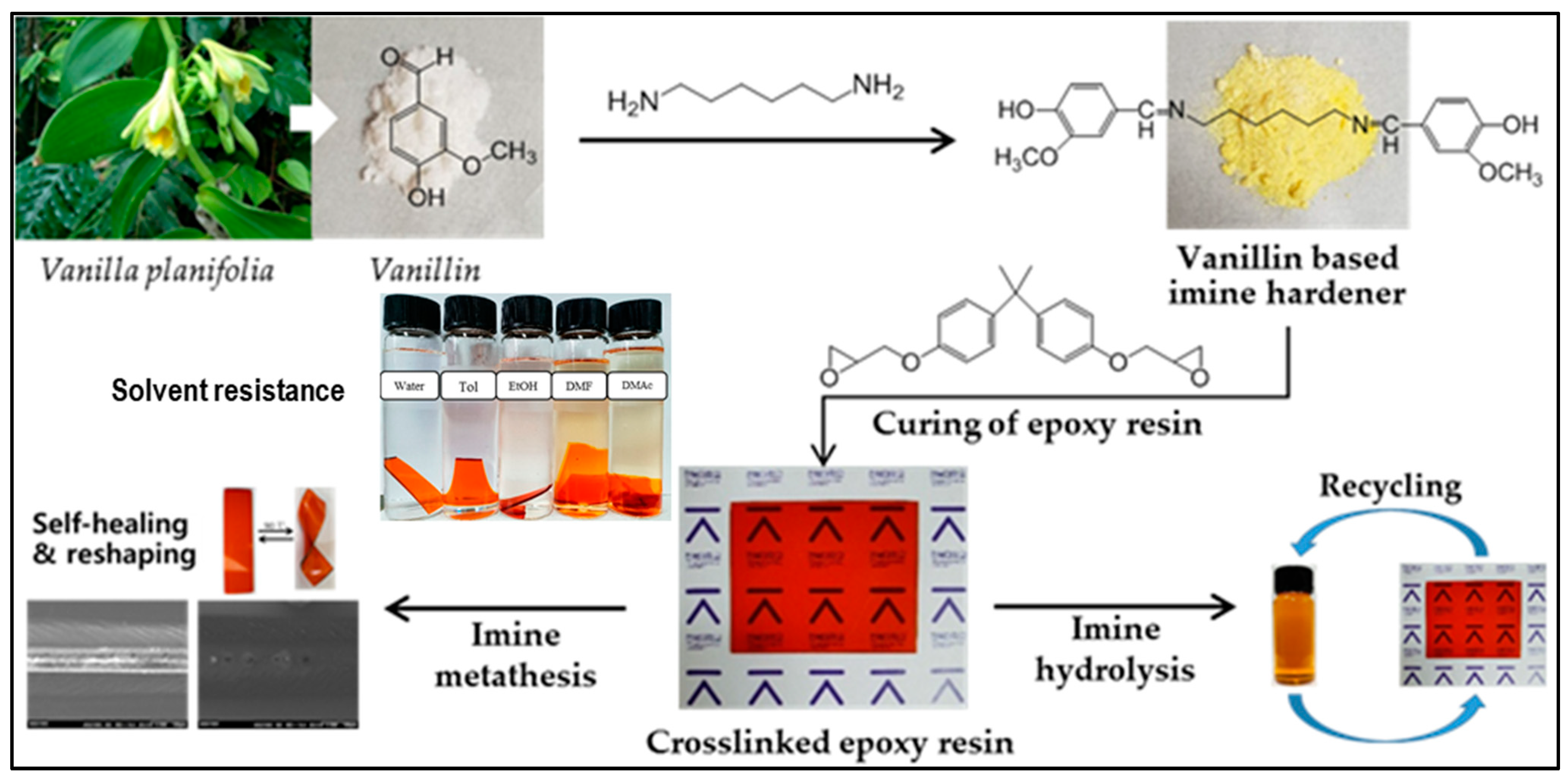 Reactions 04 00003 g012 Reactions 04 00003 g012